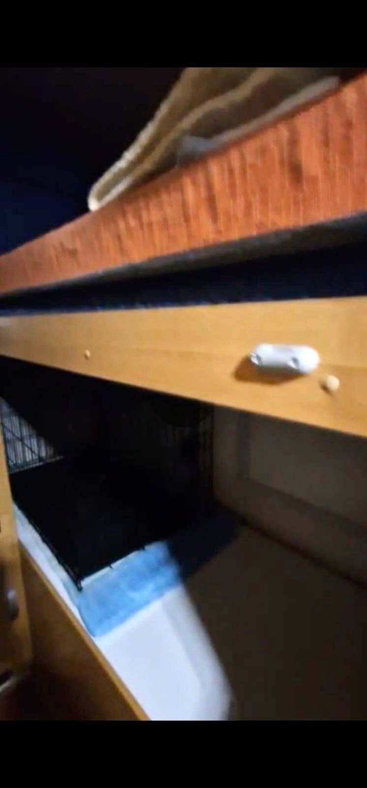 Rimor rimor katamarano