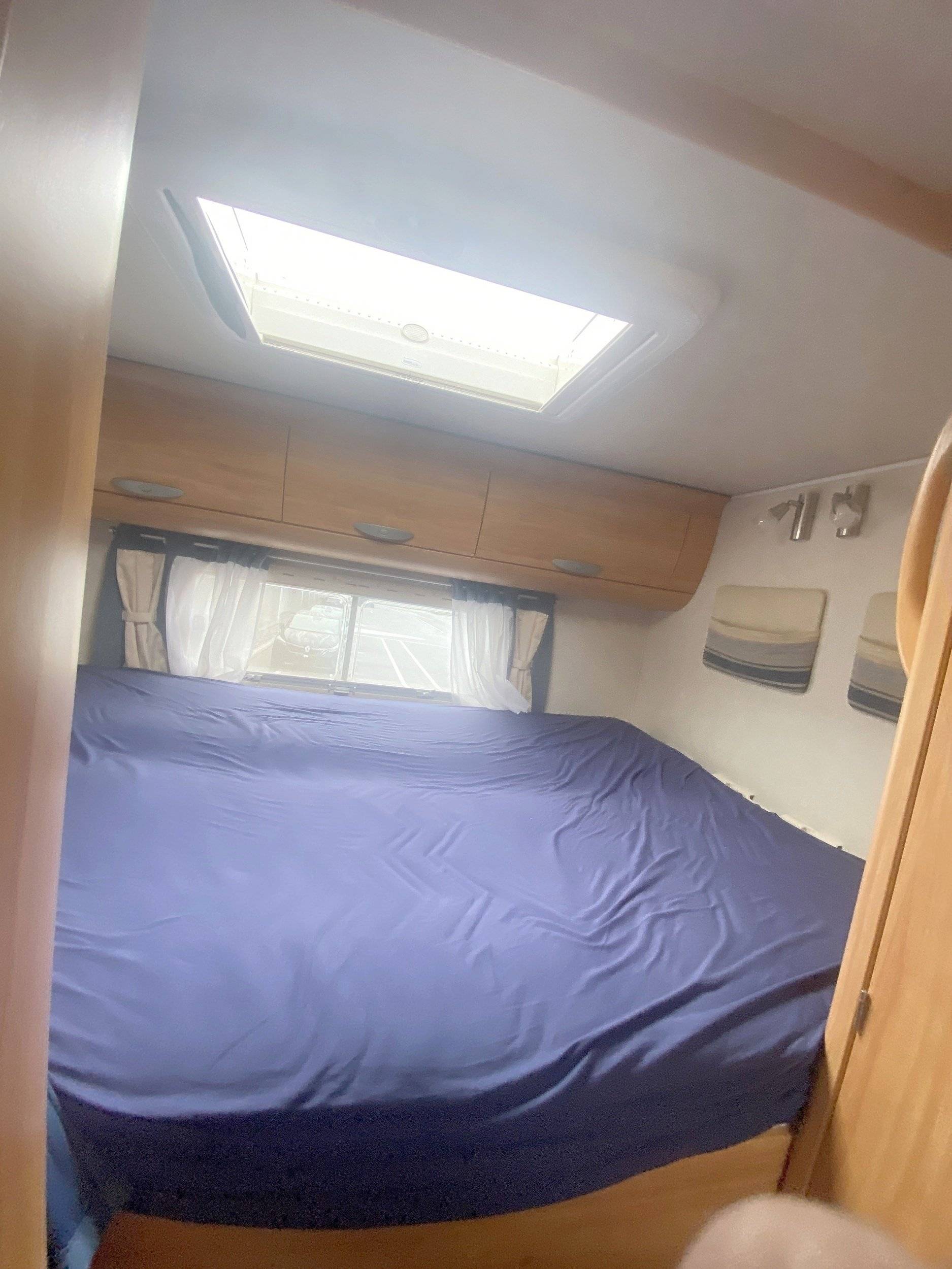 Adria Adria coral   sp660