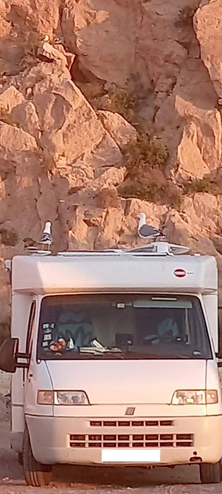 Bürstner Fiat Ducato