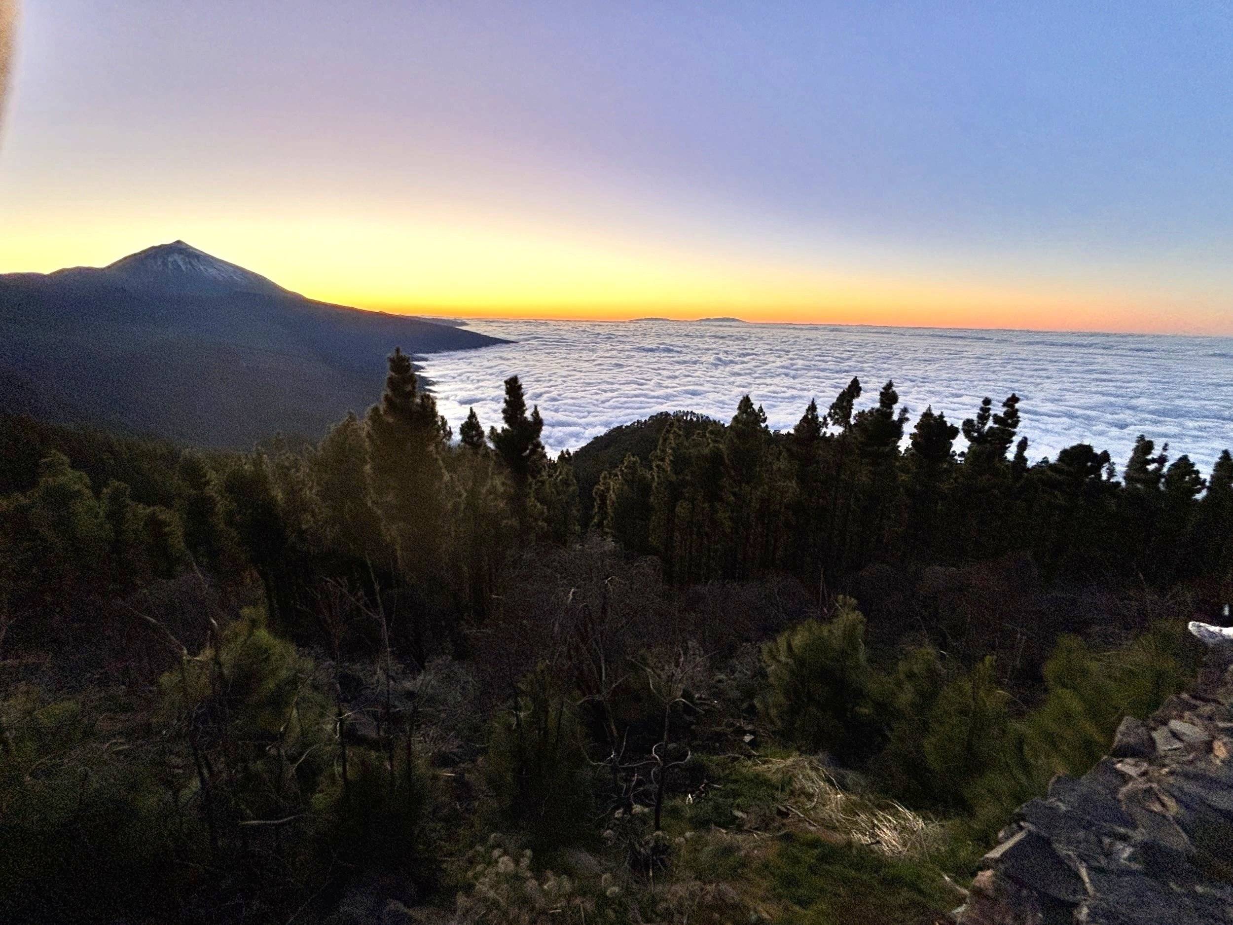 Car Caravane CARAVAN  