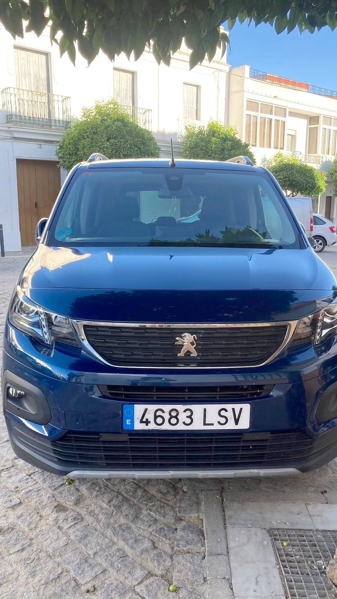 Puesto de conducción Peugeot Peugeot Rifer - Yescapa