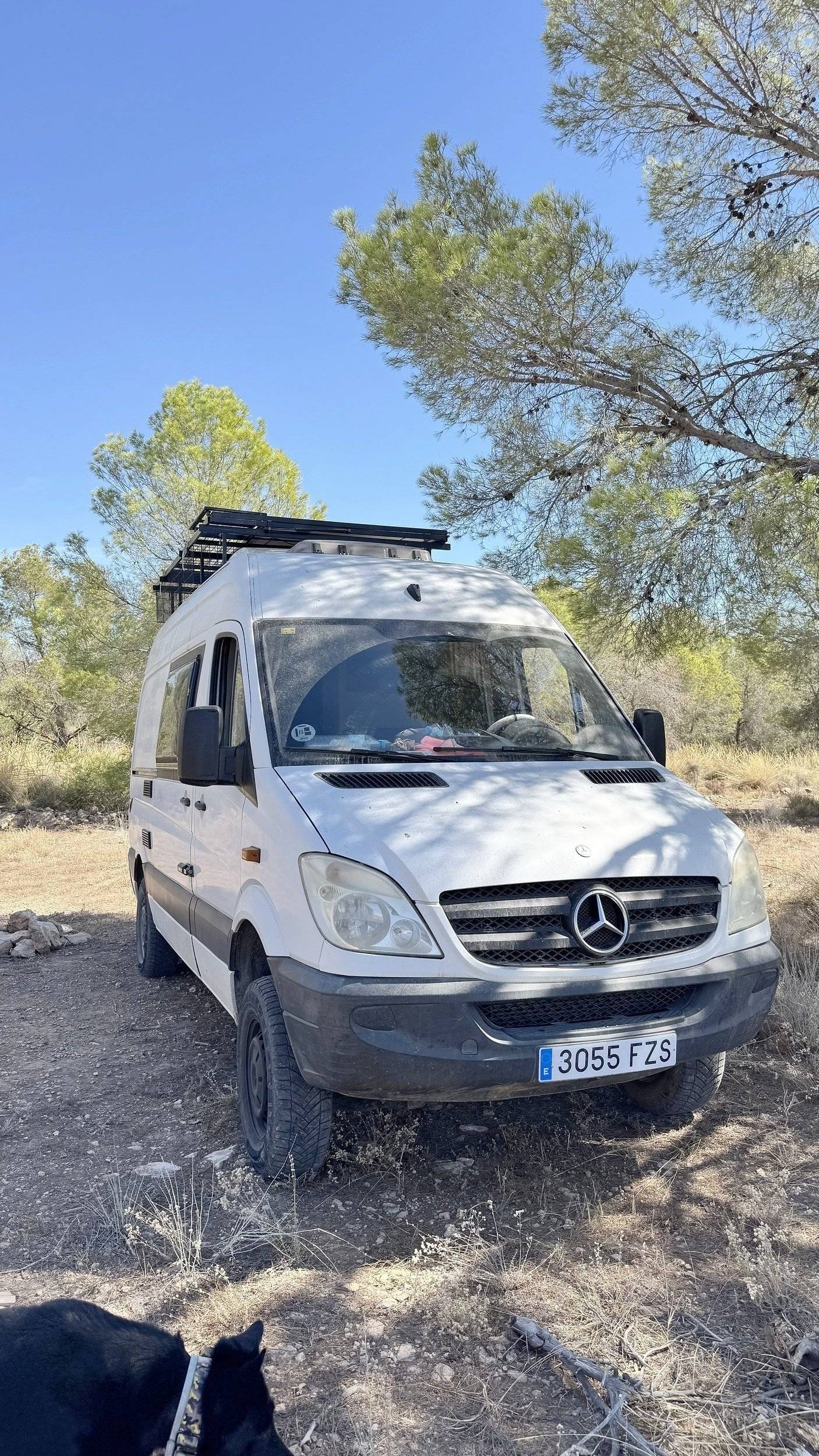 Mercedes Sprinter 311