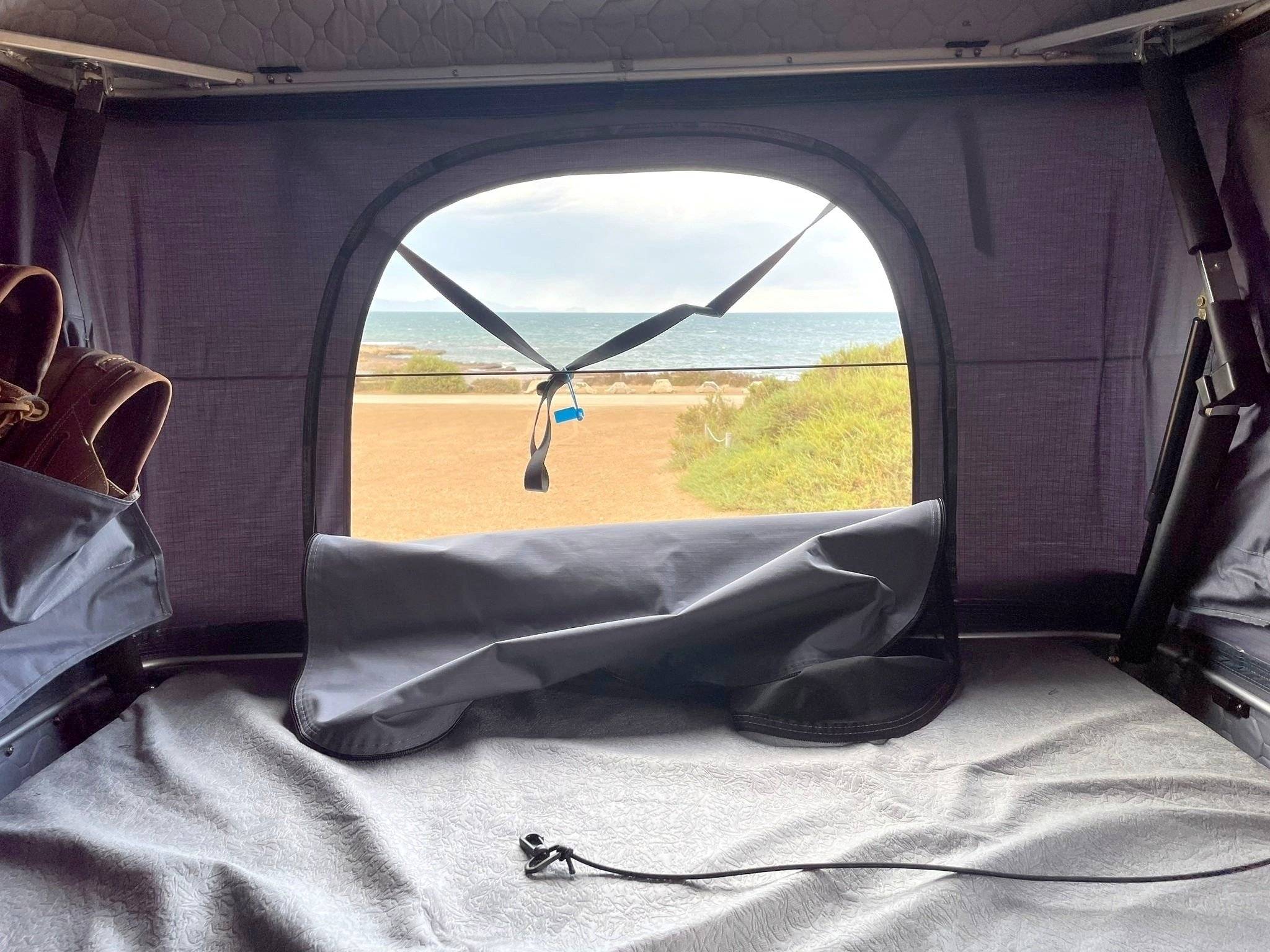 Ci 65 Special Edition