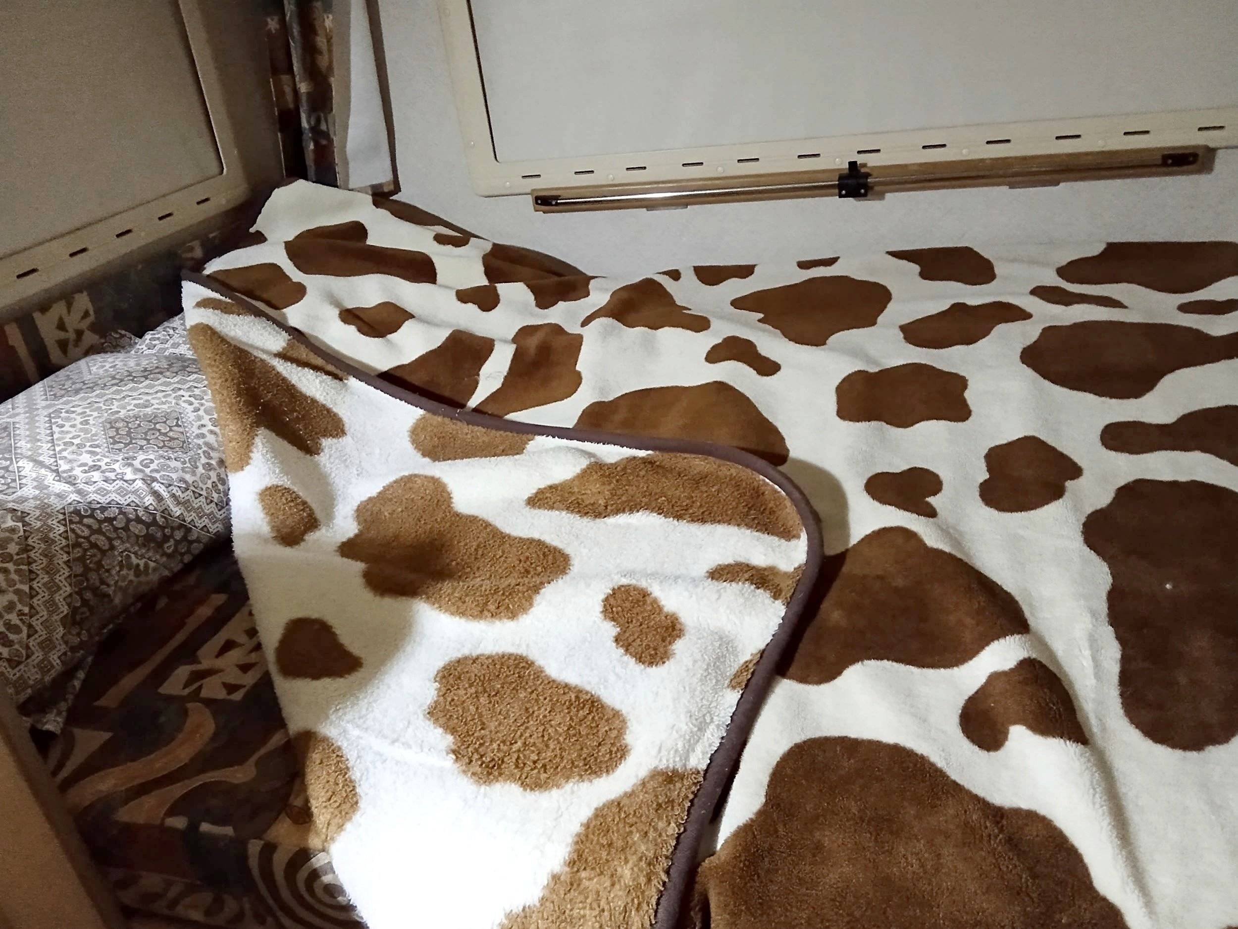 slaapplaatsen Renault - Yescapa