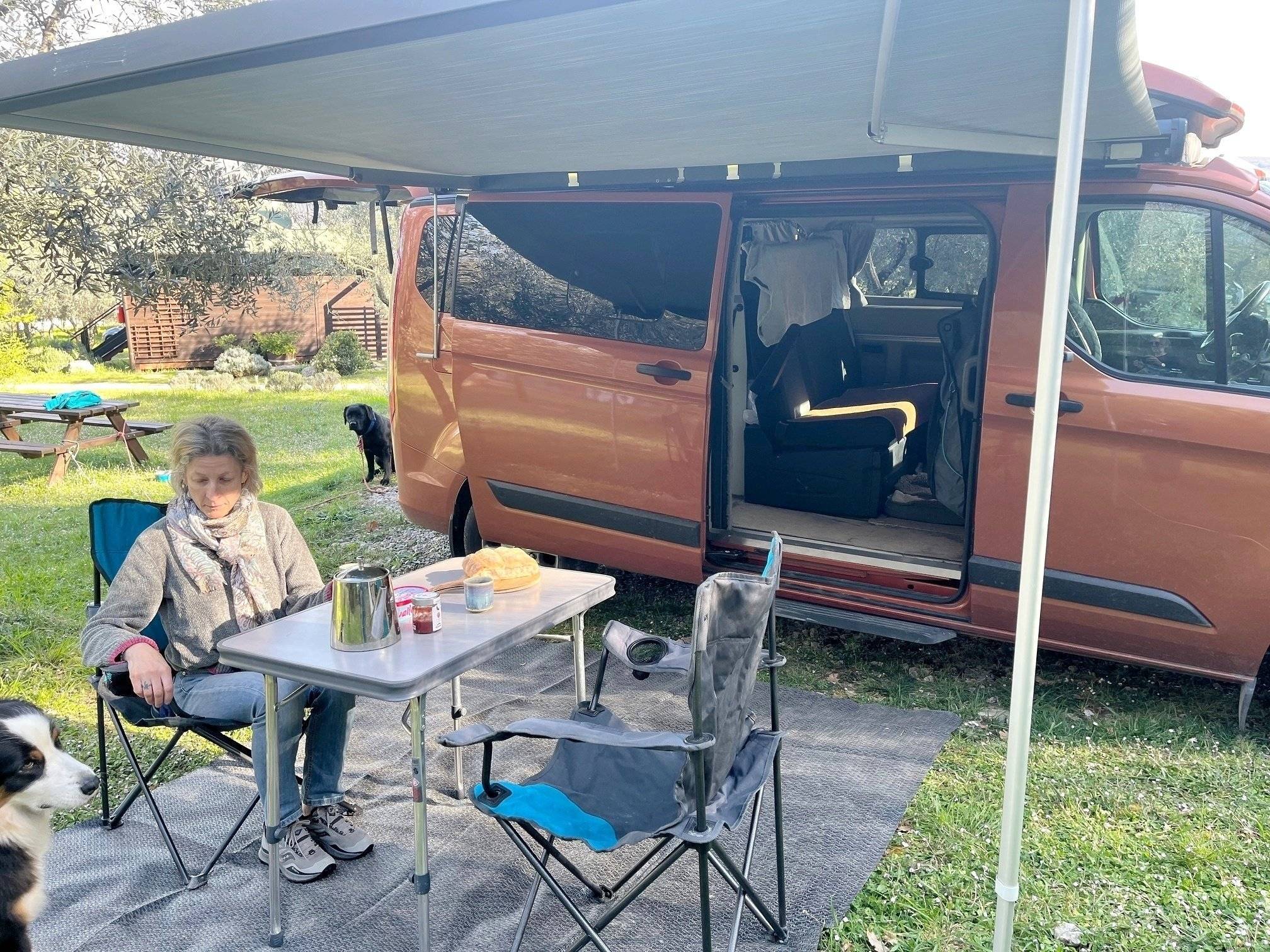 Westfalia Nugget Plus