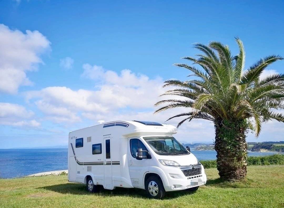 Giottiline Siena 385