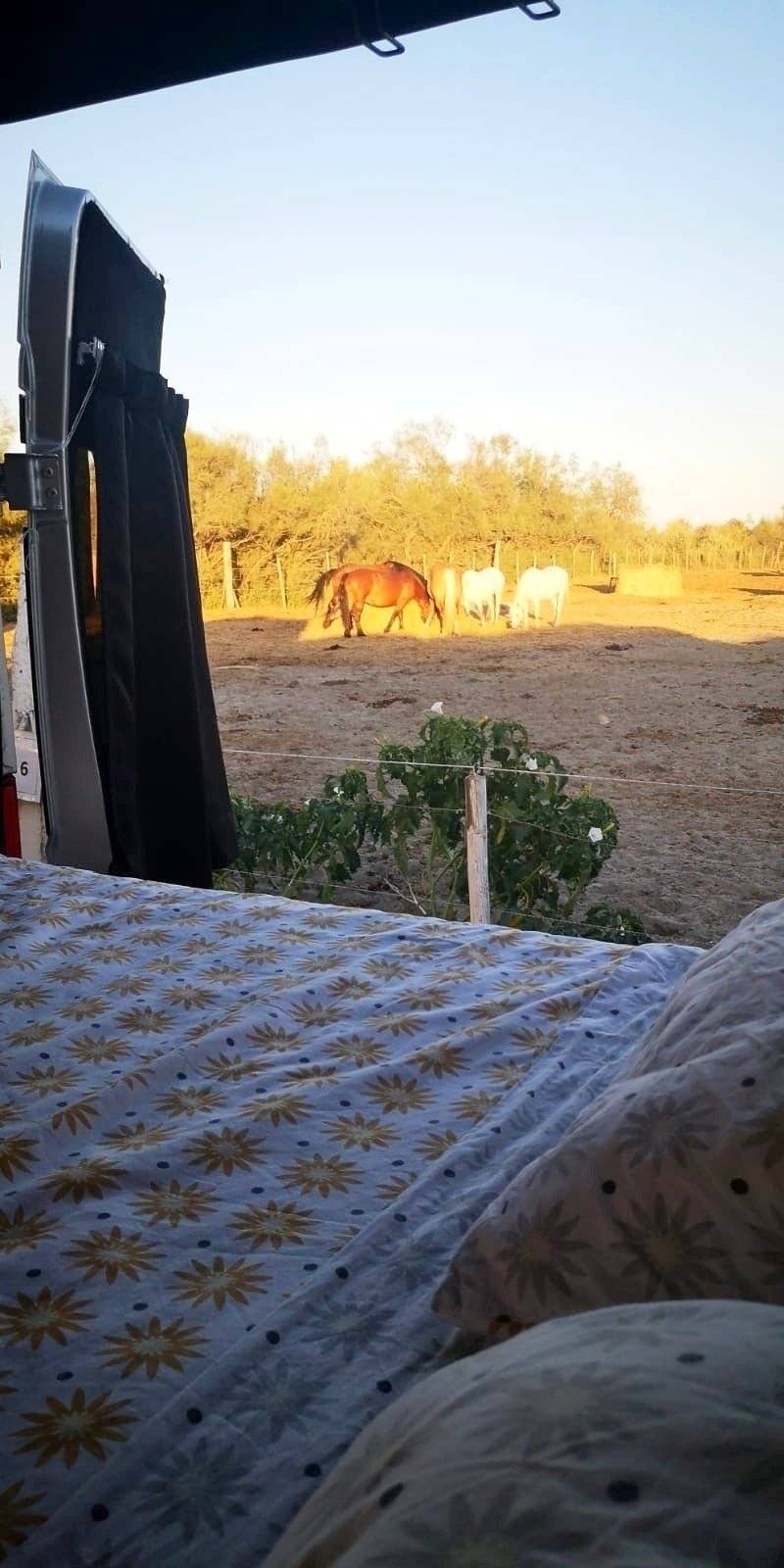 Autre Citroën jumper