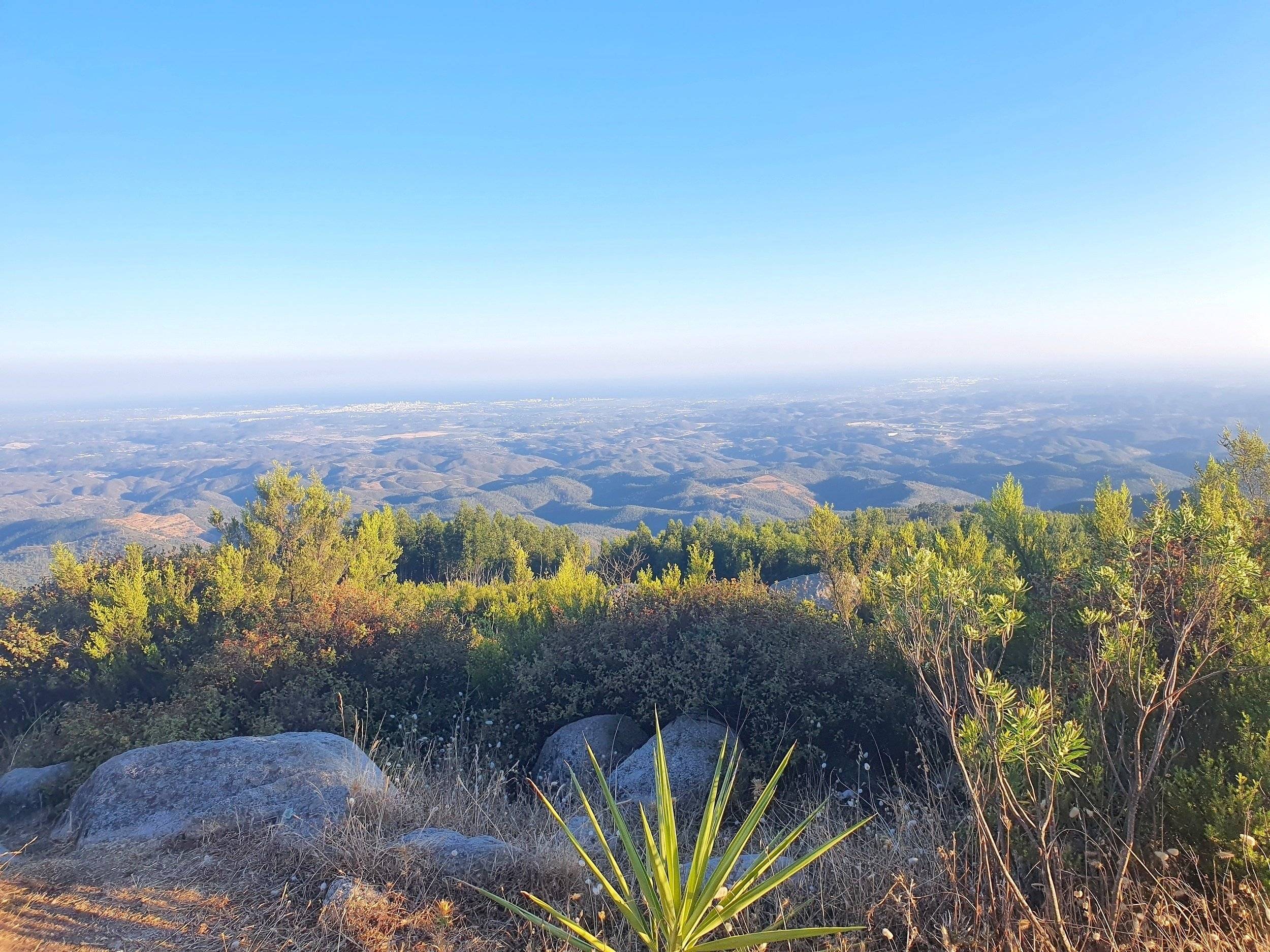 4X4 SUZUKI  suzuki Jimny