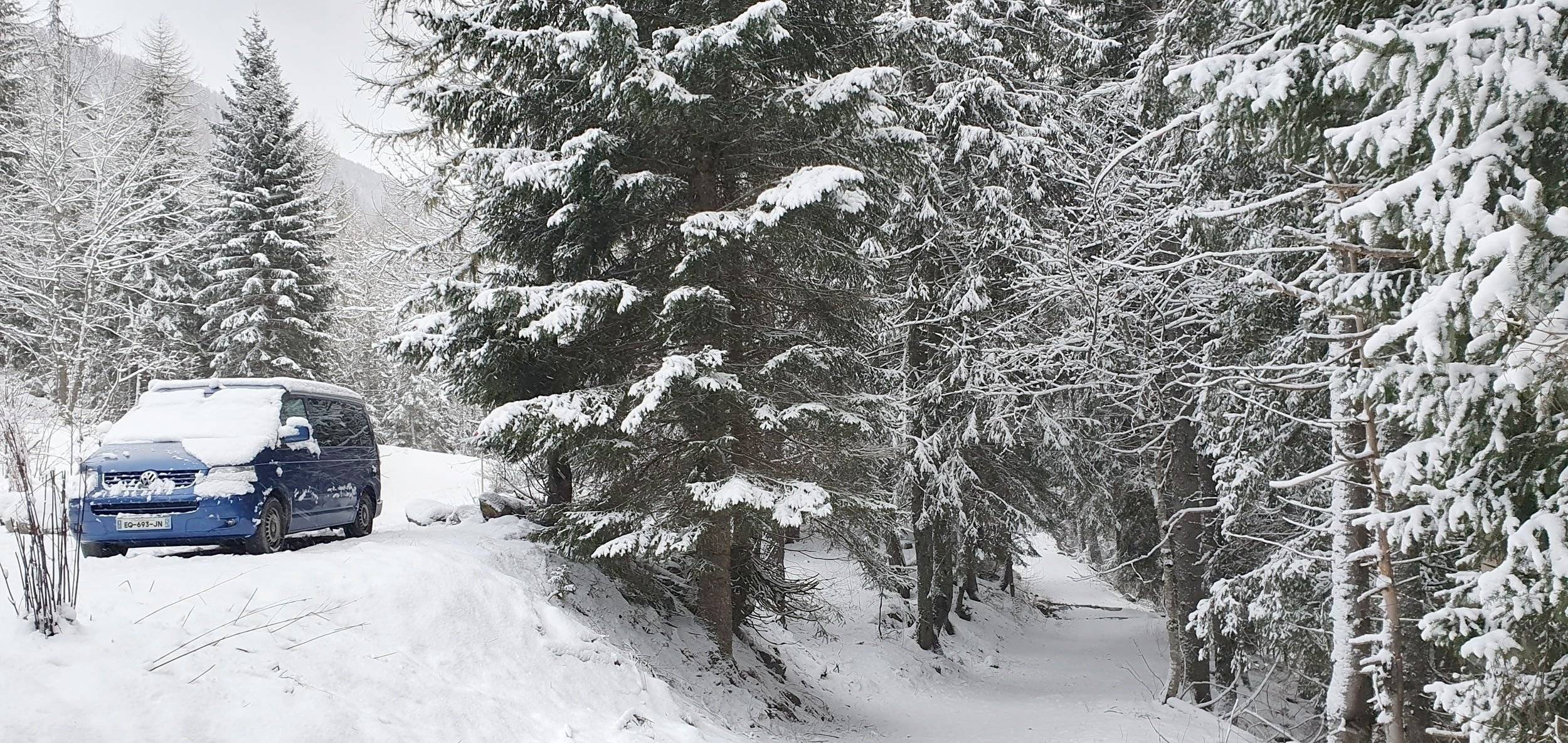 Volkswagen California T5