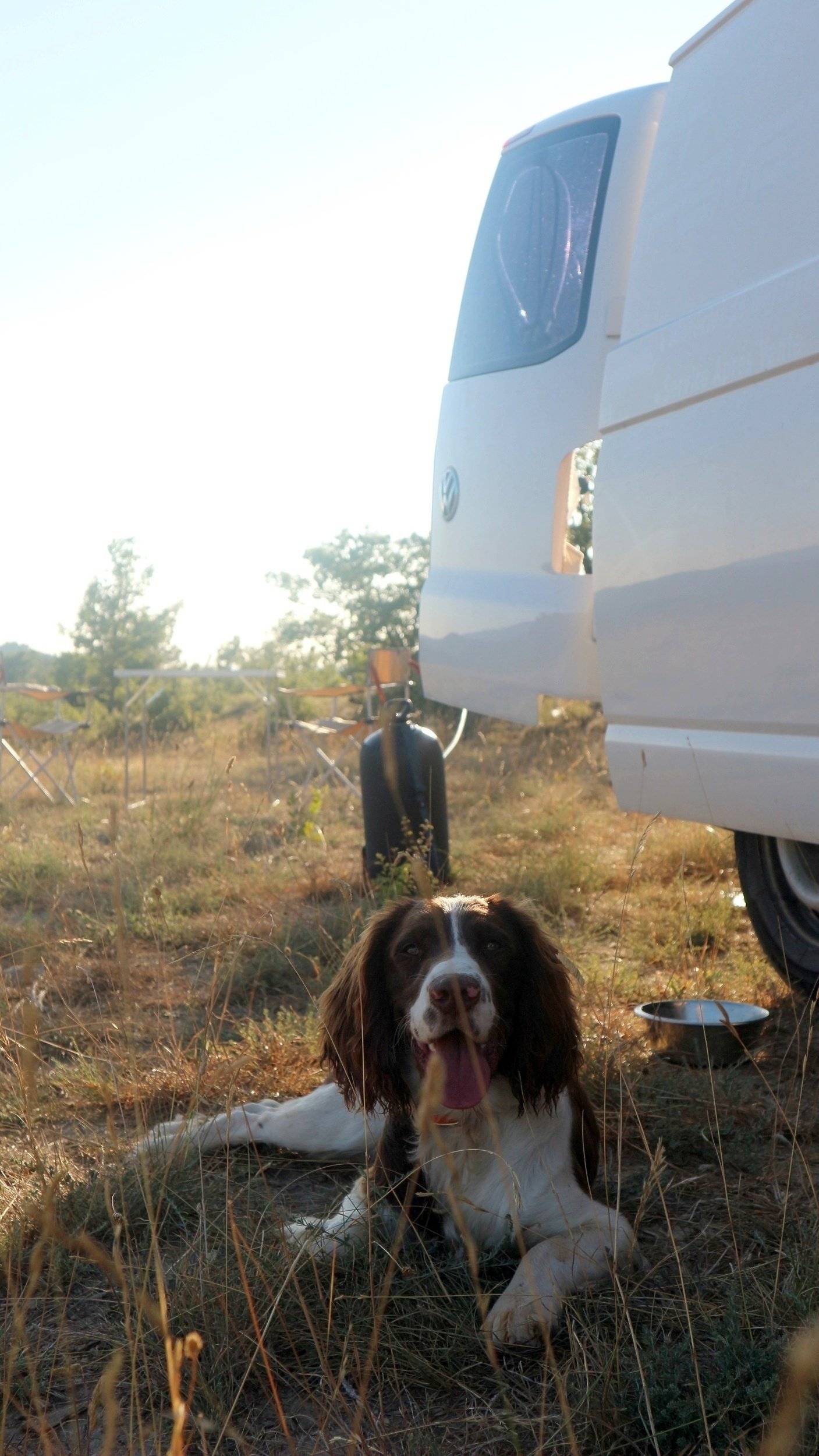 Volkswagen T5 1,9 l 102 ch