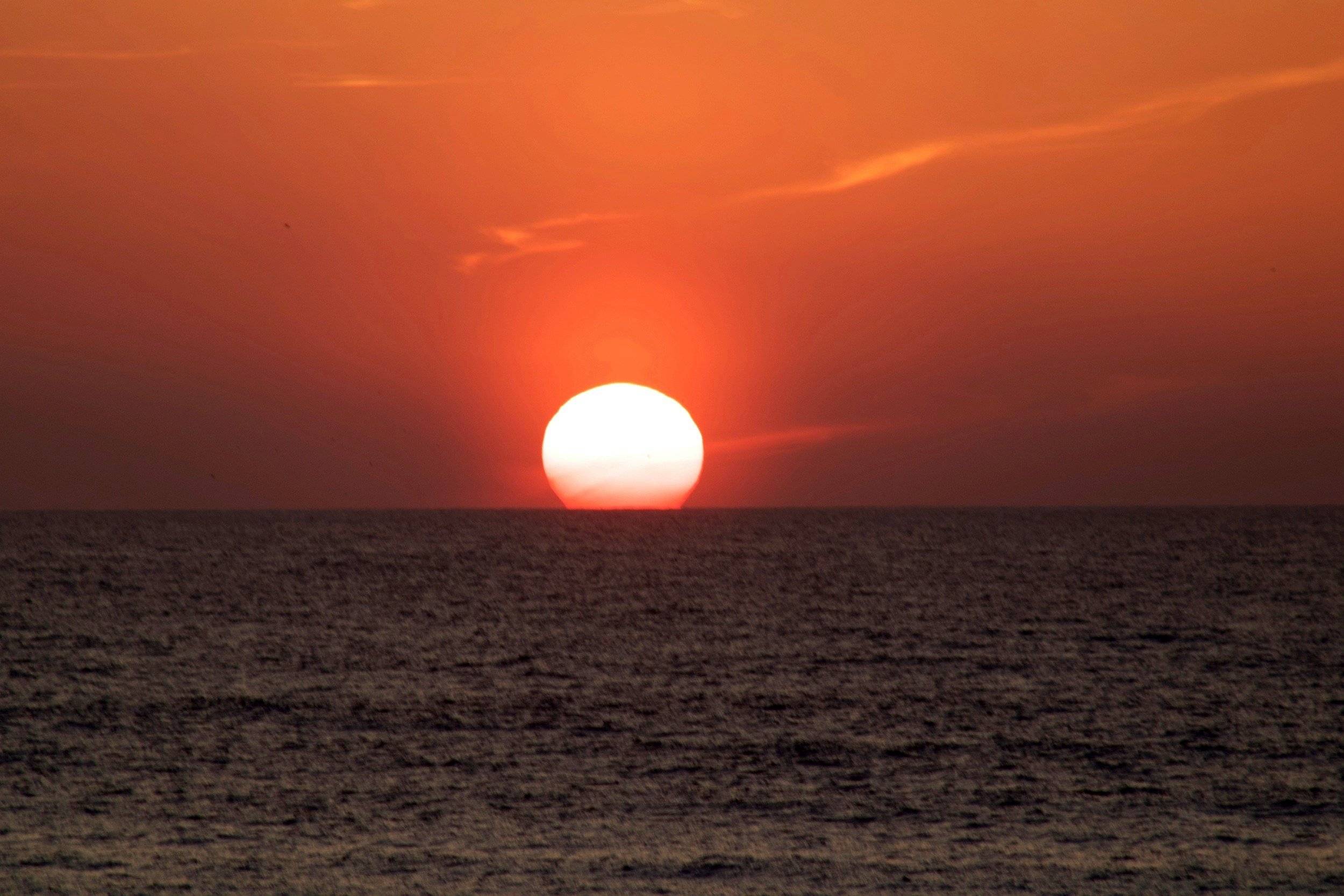 Volkswagen Volkswagen T6.1 California Coast 