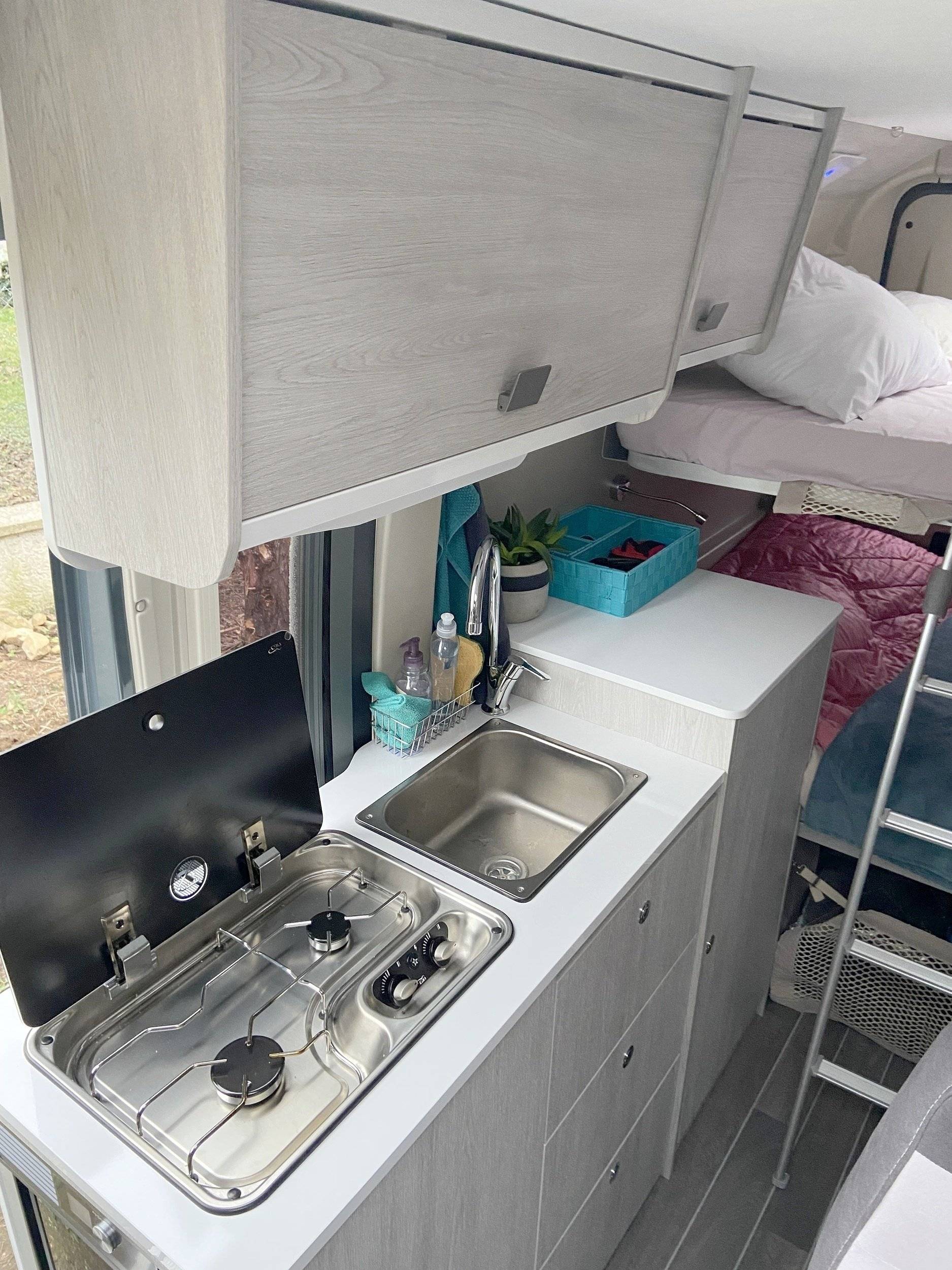 Roller Team Livingstone 5