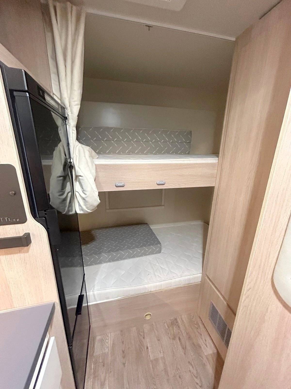 Giottiline siena 386