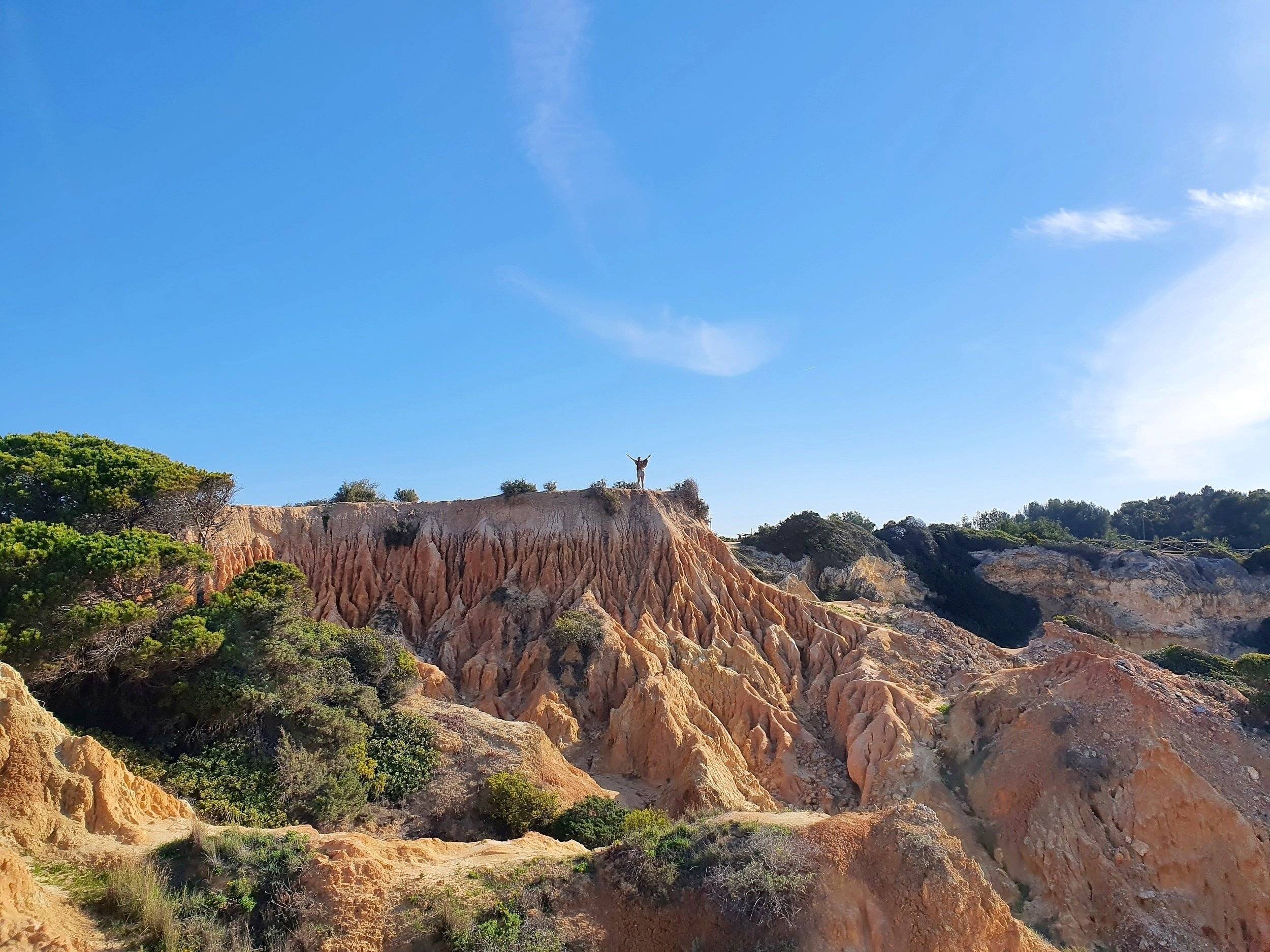 4X4 SUZUKI  suzuki Jimny