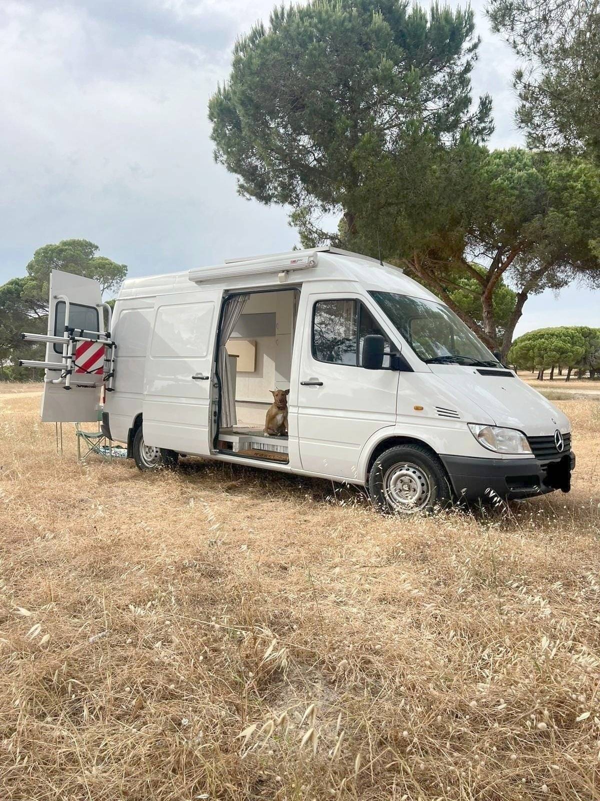 Mercedes Mercedes Sprinter 313 cdi