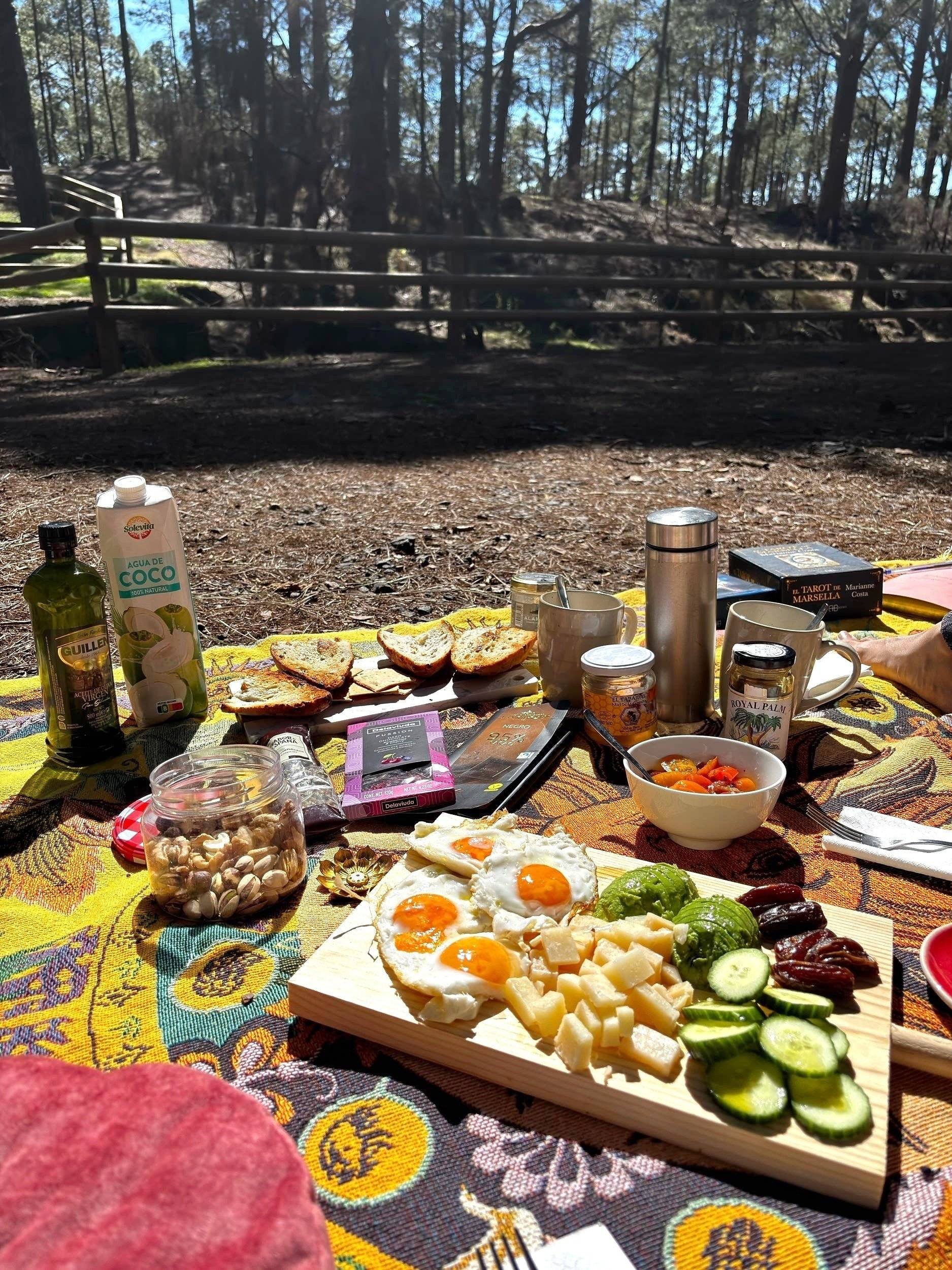 ford ford transit dinamic