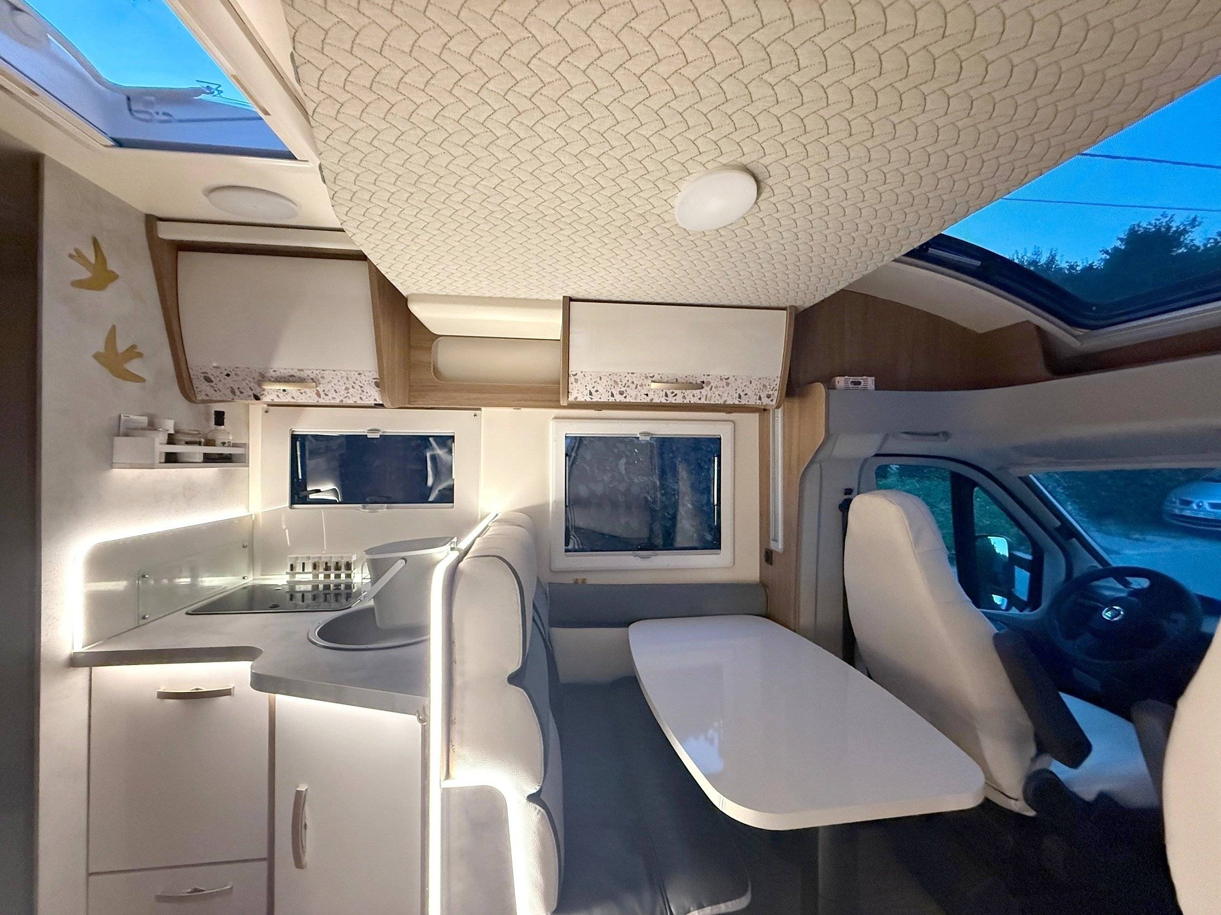 Elnagh Baron 573