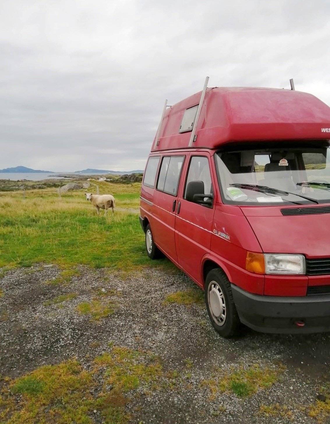 Westfalia T4 California Wolf-2