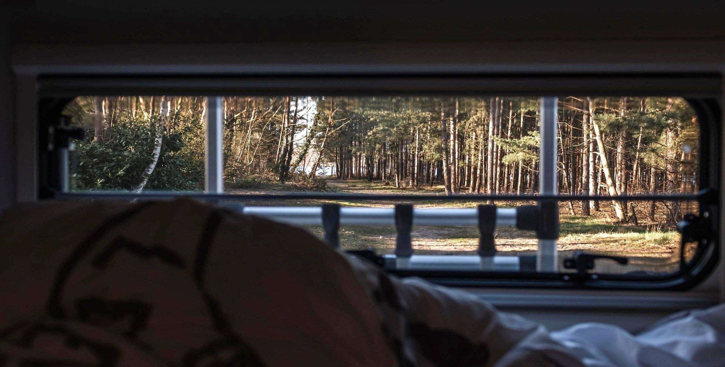 Sun Living 