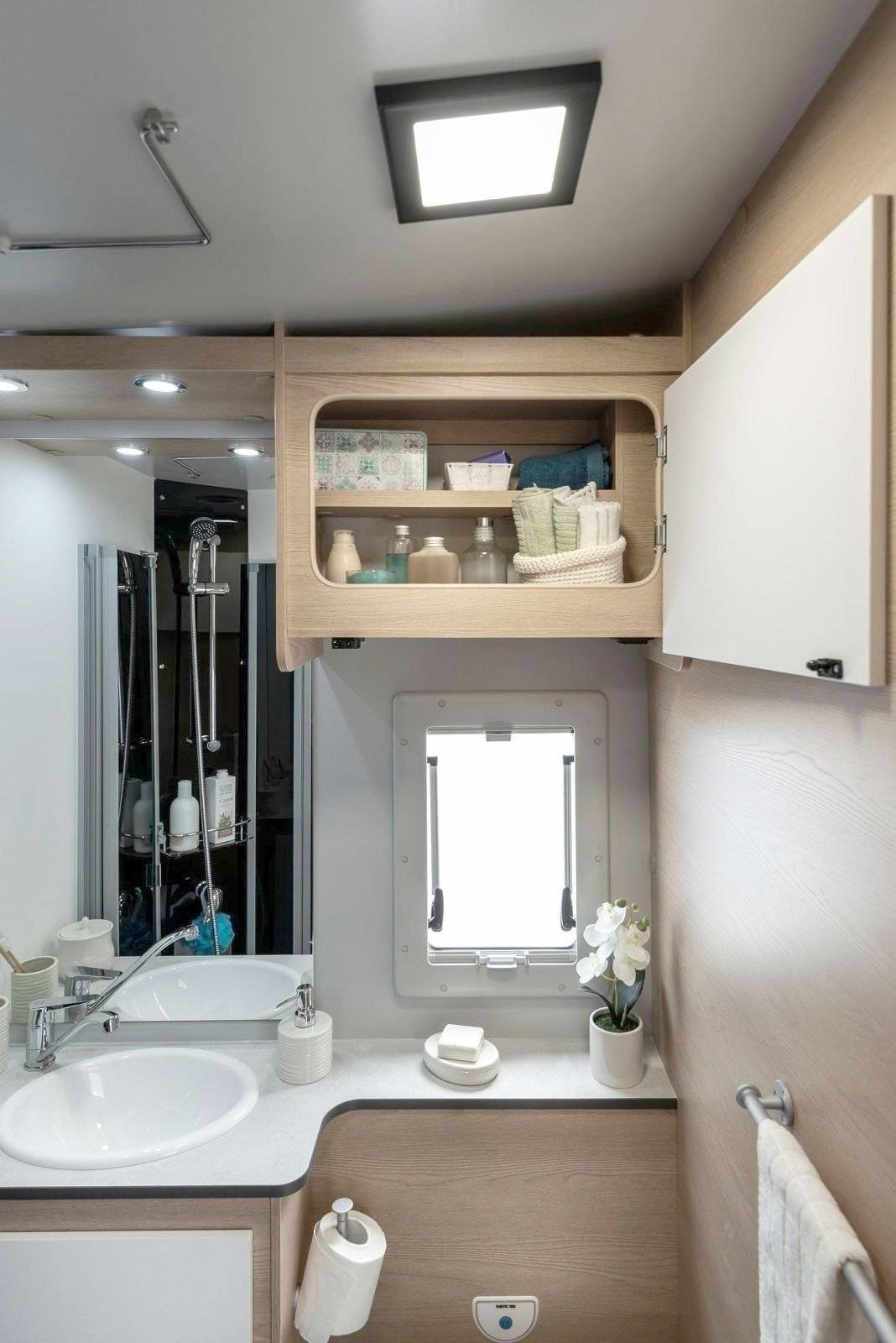Giottiline Siena 485