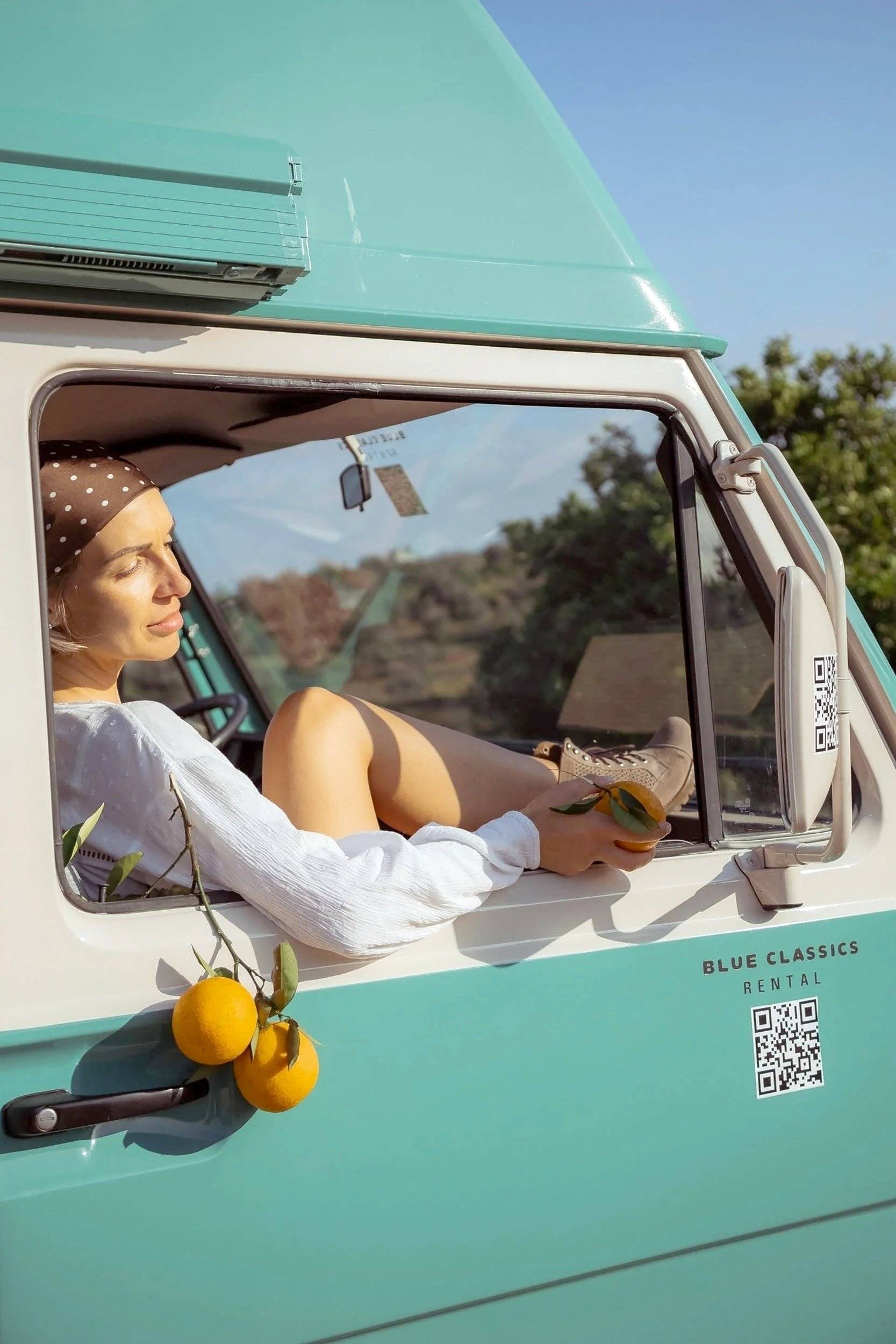 Westfalia LT31