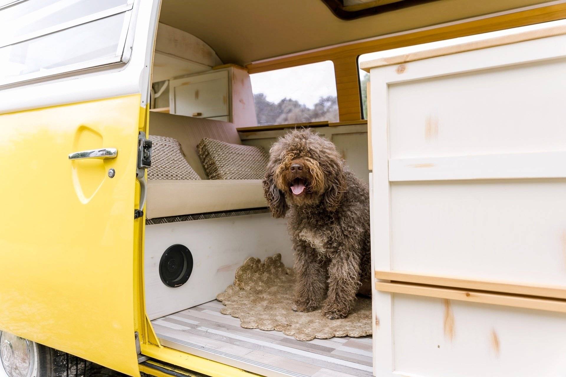 Volkswagen Combi T2B