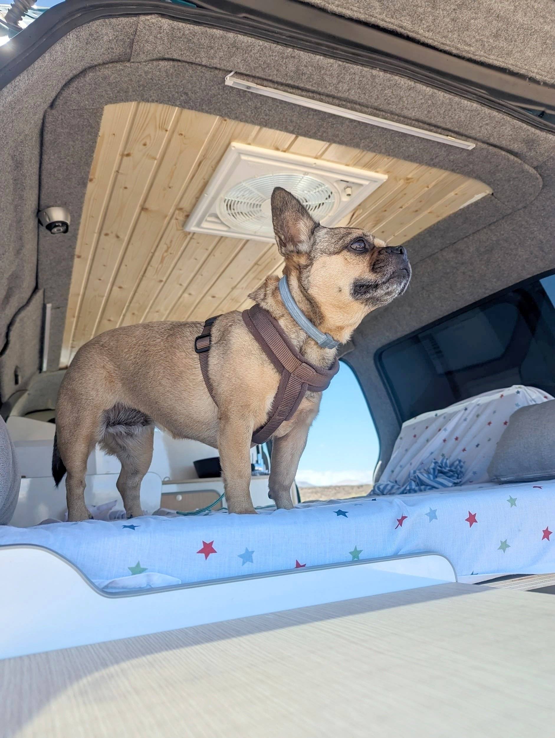 Hyundai H1 2003 Camperizada H1