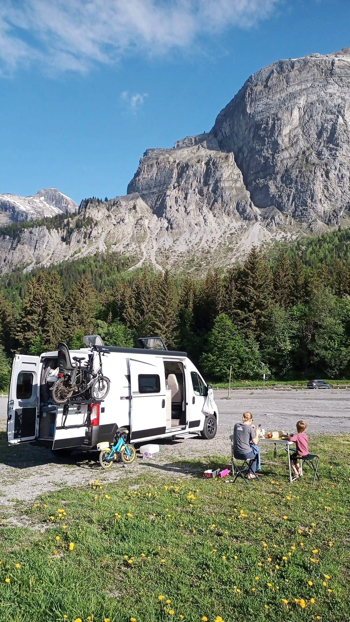 Randger randger r600