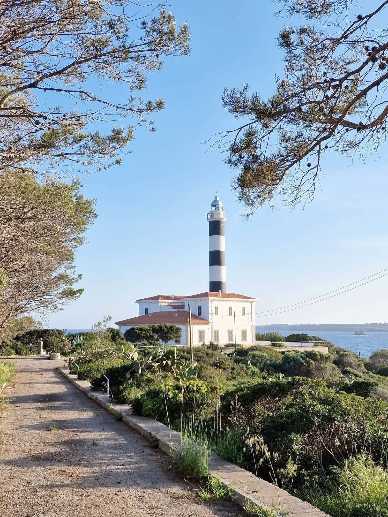 Roller Team Trigano VDL