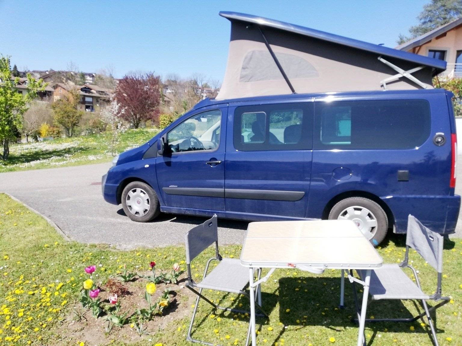 Westfalia michaelangelo