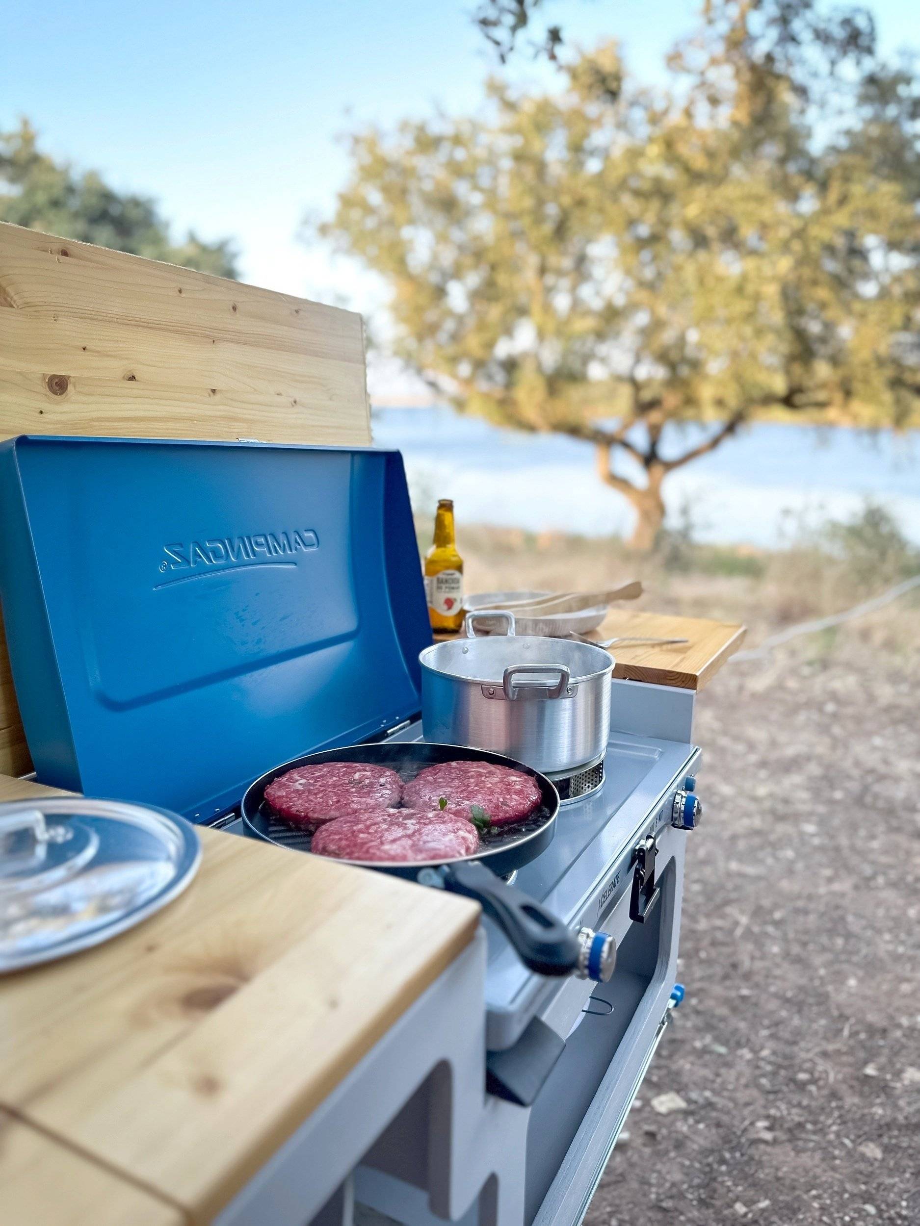 van.out Renault Master