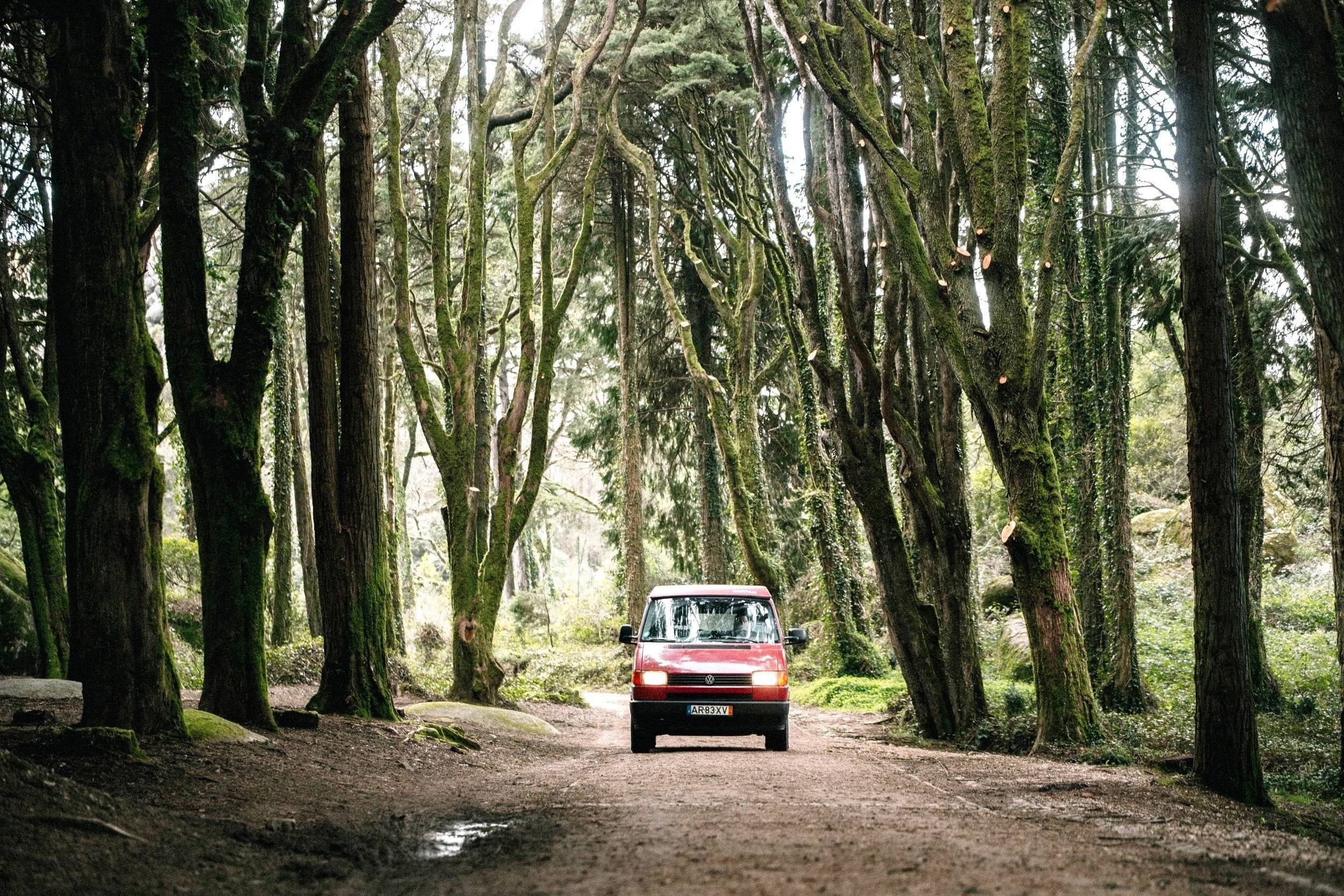 Westfalia California t4 westfalia