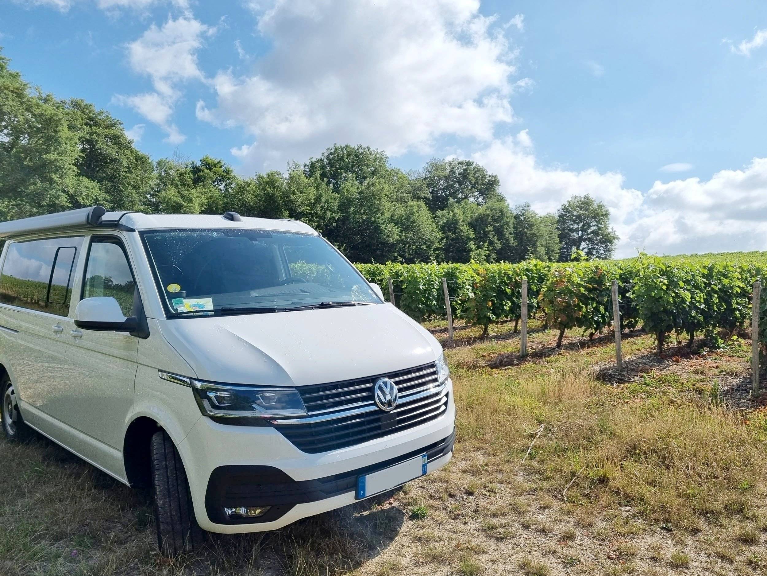 Volkswagen California 6.1