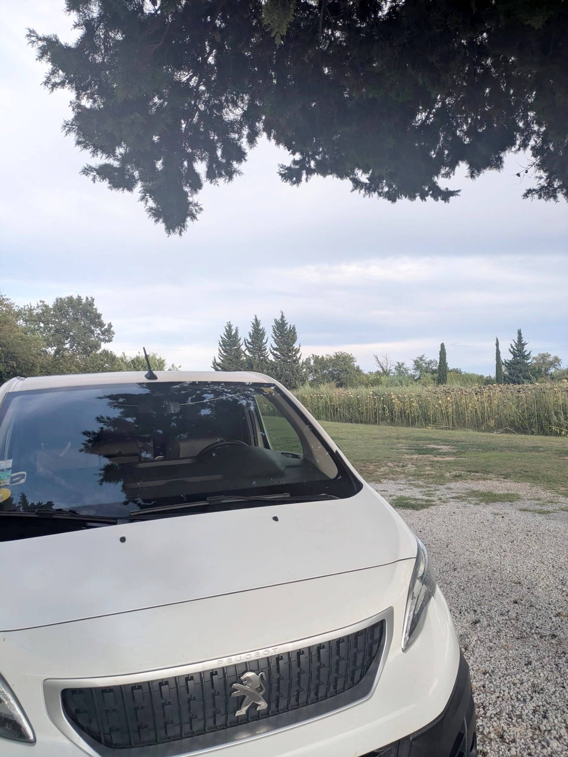 review photo thumbnail