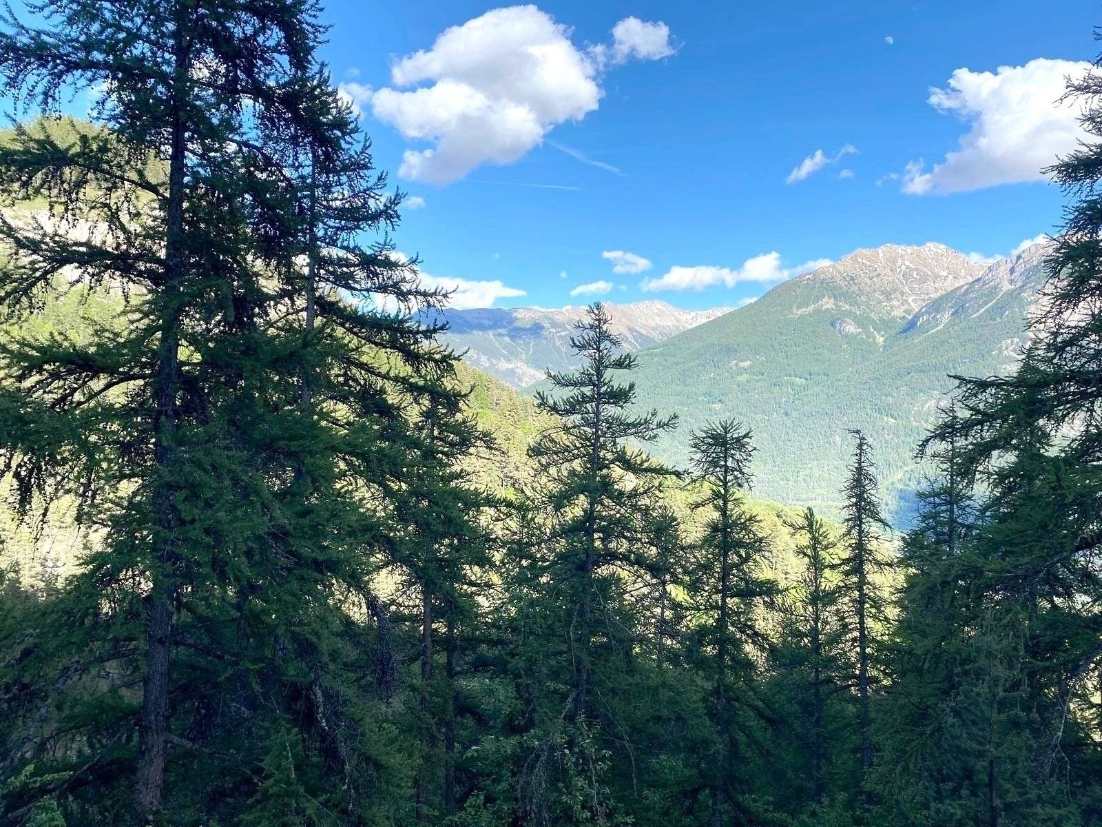 Front view from 3/4 Renault Renault Trafic - Yescapa