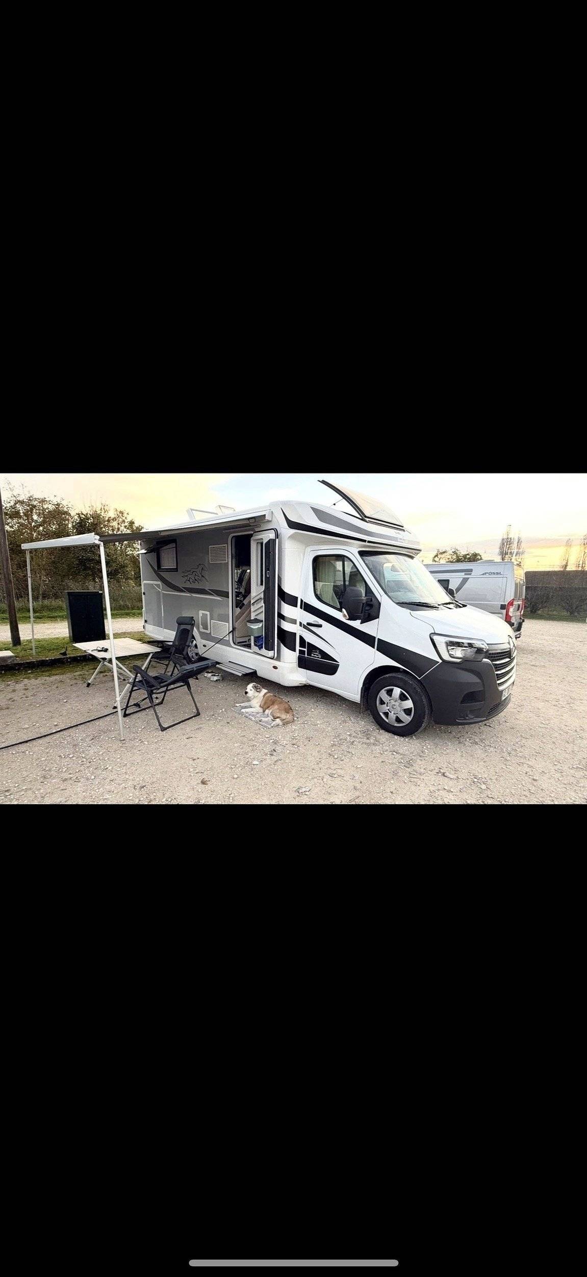 Mclouis Yearling 89G