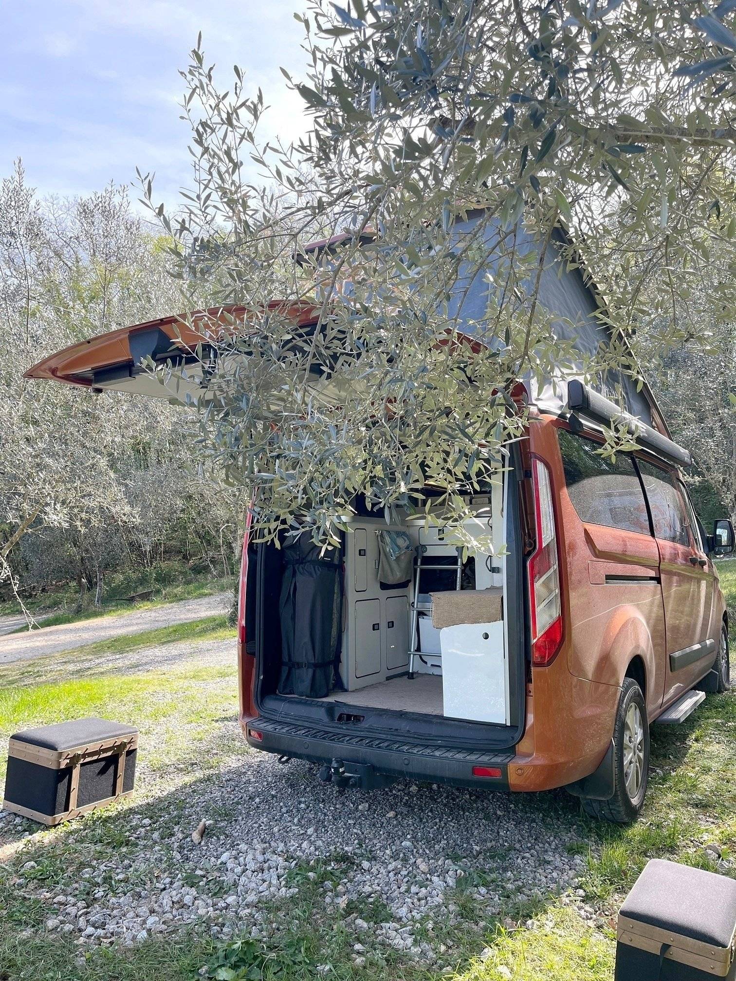 Westfalia Nugget Plus