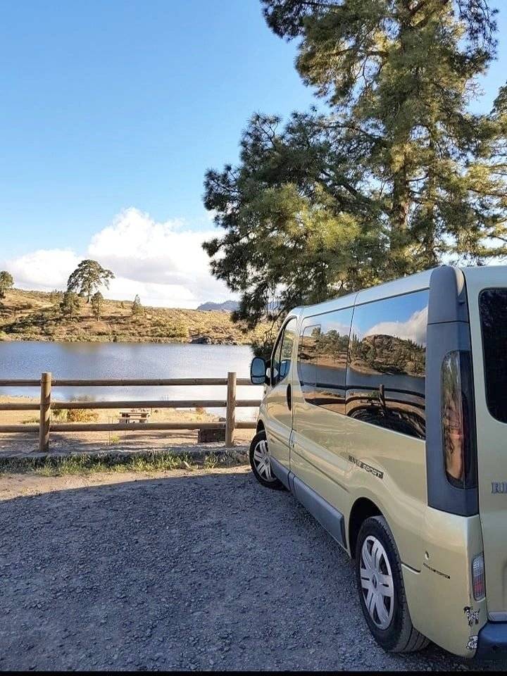 Renault Renault trafic passenger