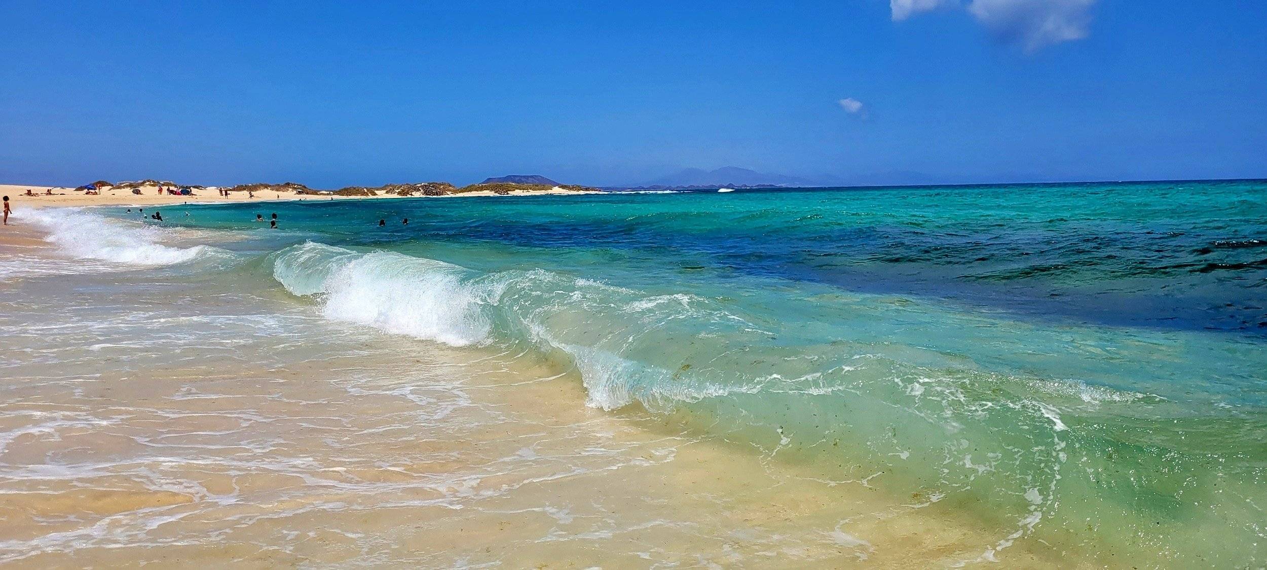 Ford Transit 2,2 l 115 ch