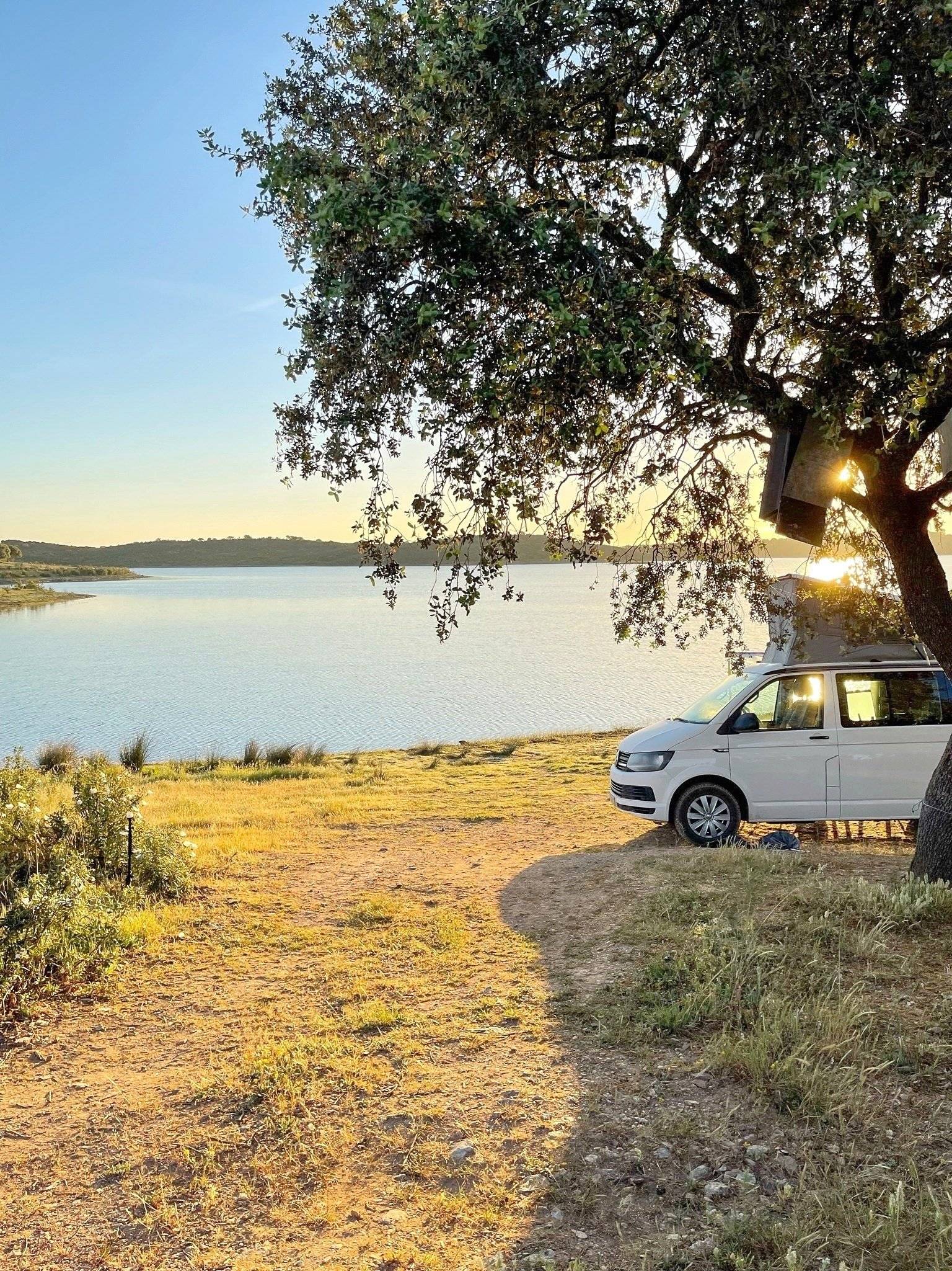 Volkswagen Volkswagen california coast