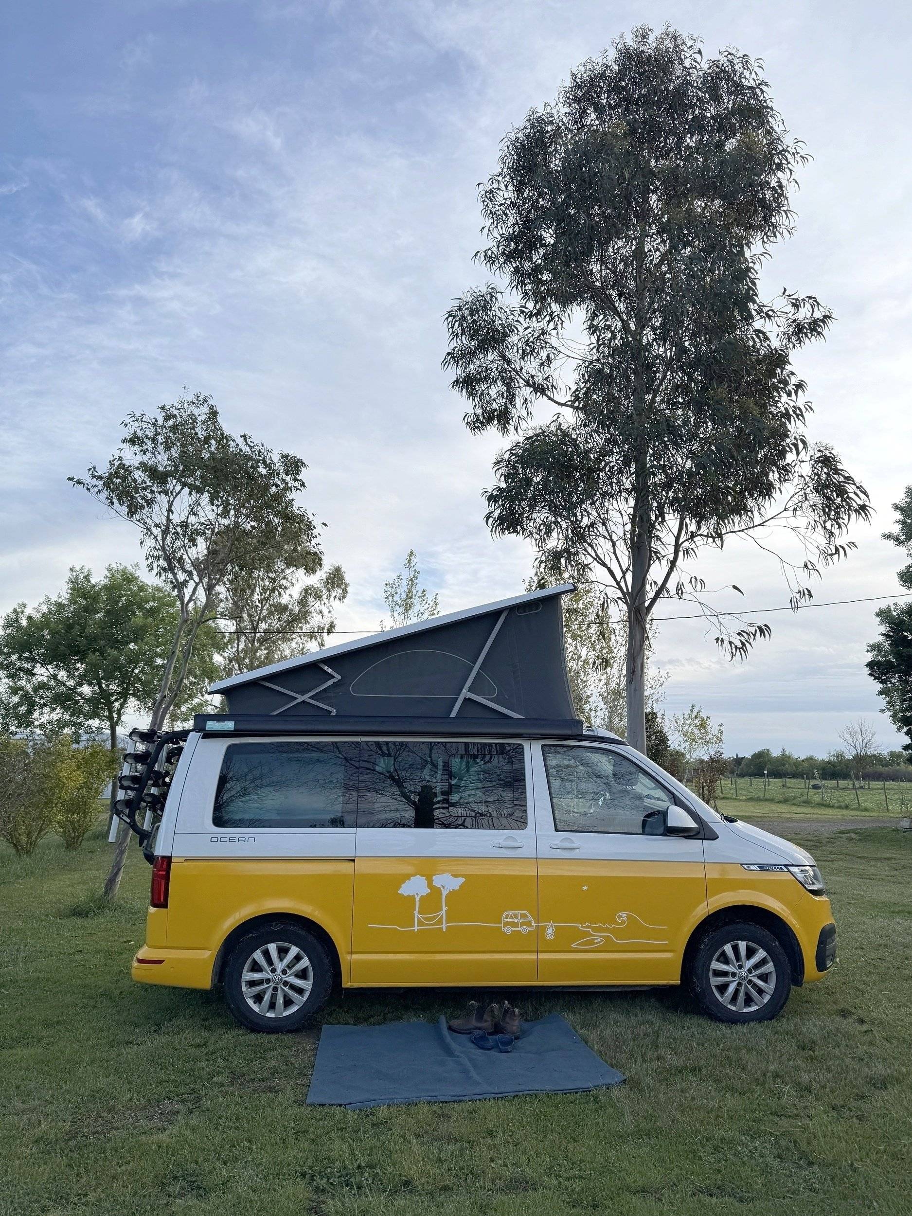california Volkswagen T6.1