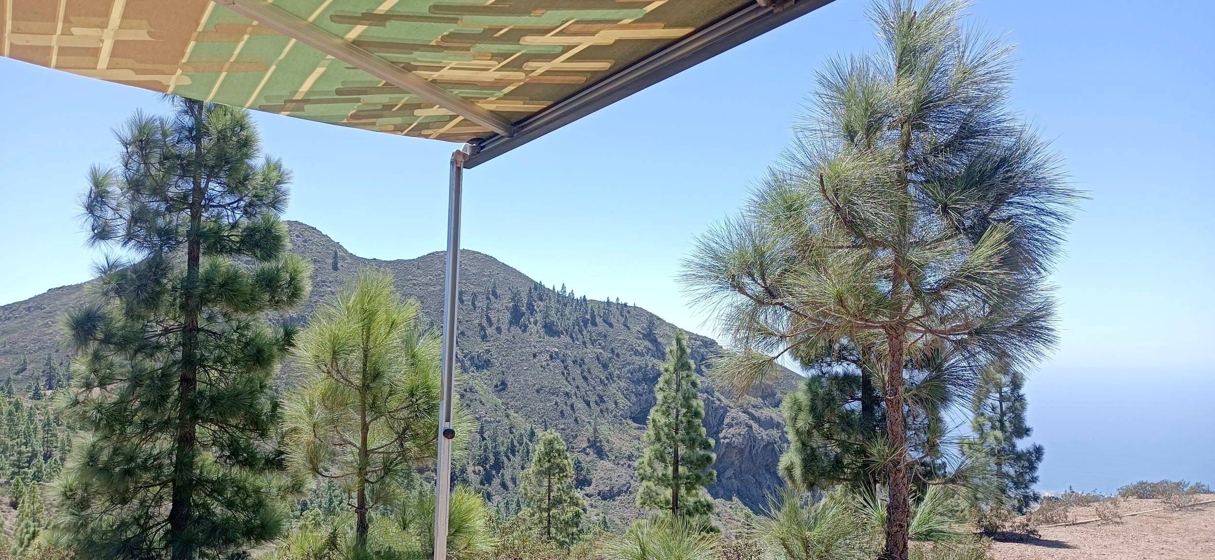 Volkswagen california westfalia