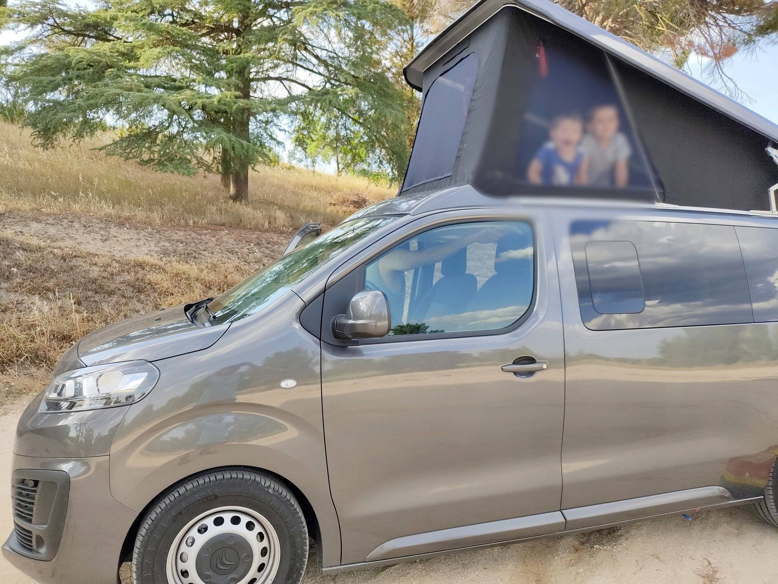 CITROEN PACIFIC/BRAHM TECNOLOGIES