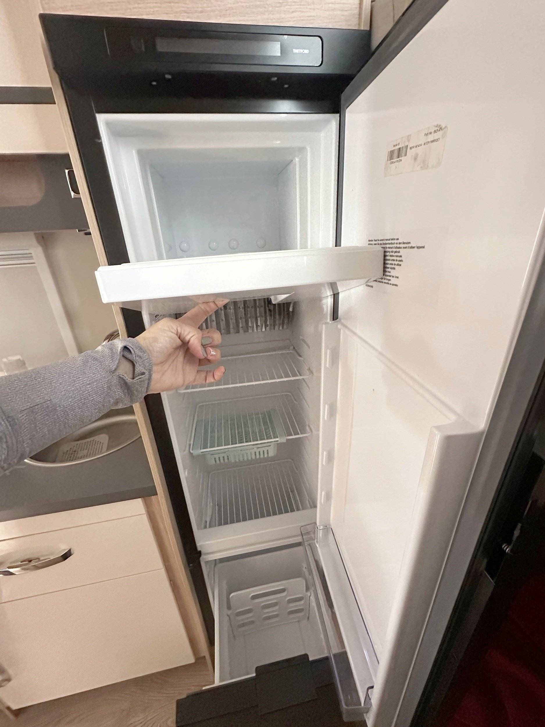 Giottiline siena 386