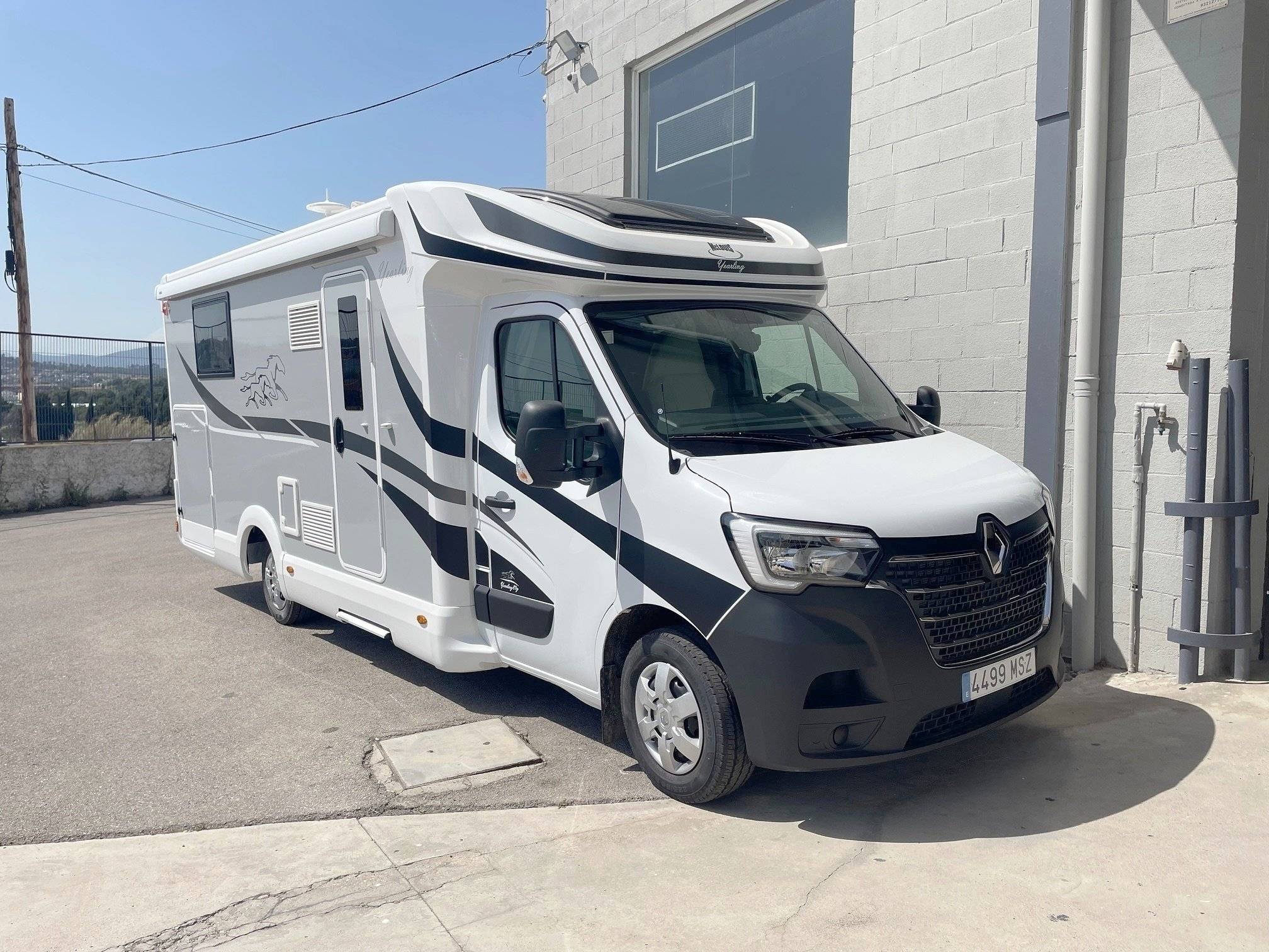 Mclouis Mclouis Yearling 89