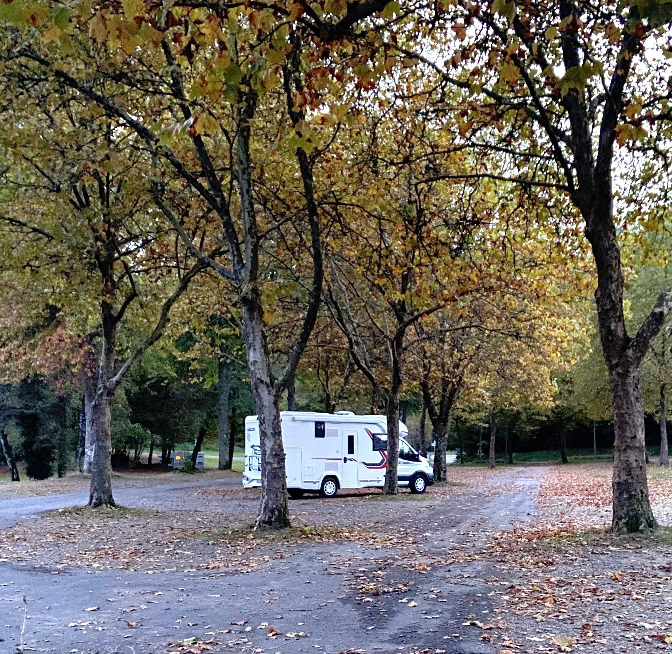 Challenger FORD TRANSIT