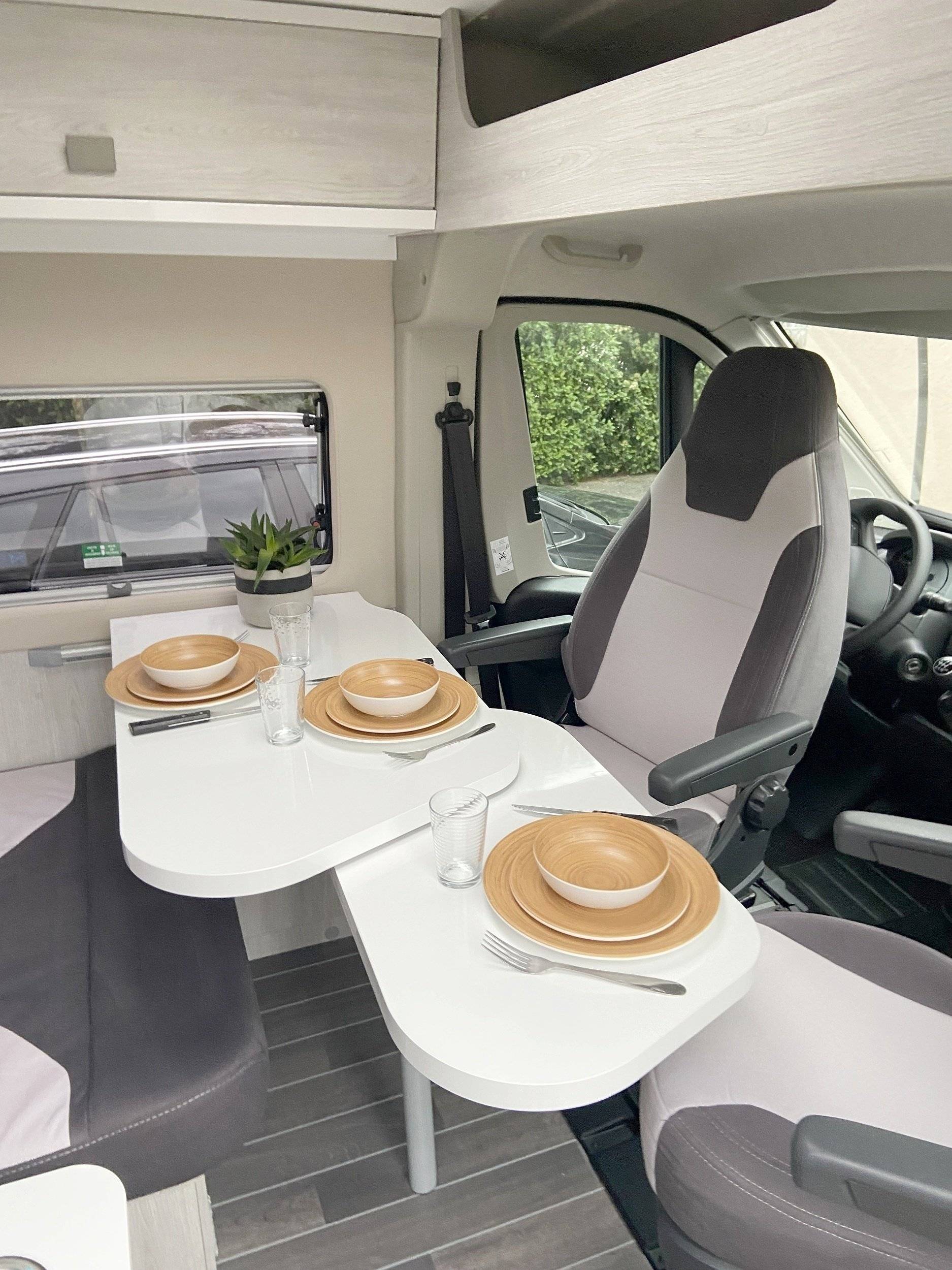 Roller Team Livingstone 5