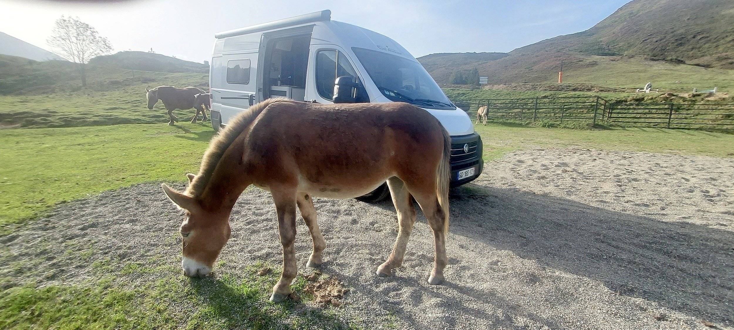 Font Vendôme Font vendôme Leader Van Duo