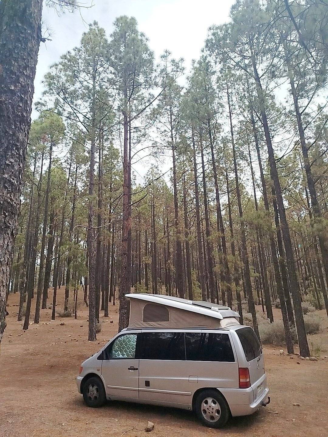 Mercedes Mercedes Vito