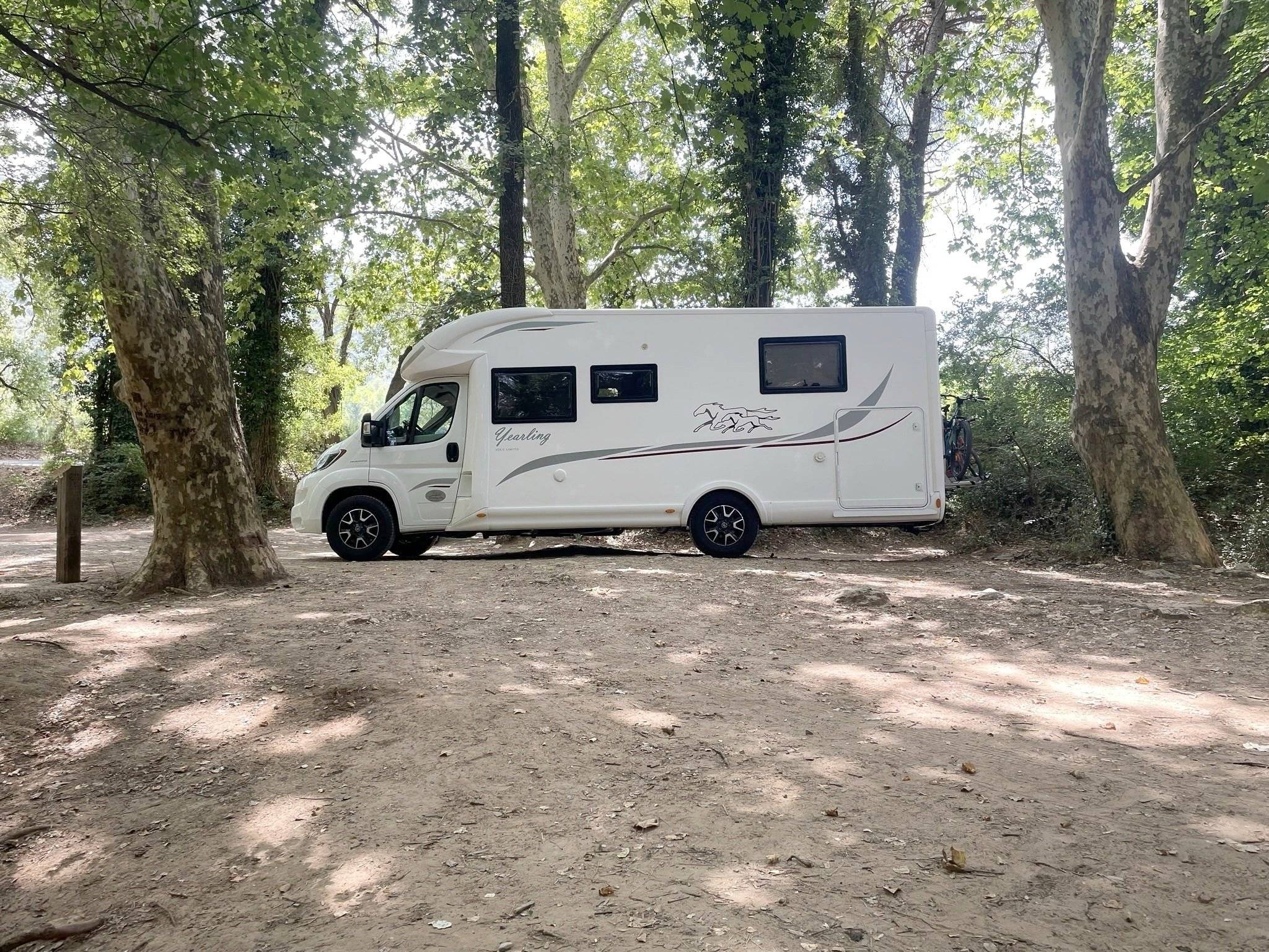 Mclouis yearling 89 G